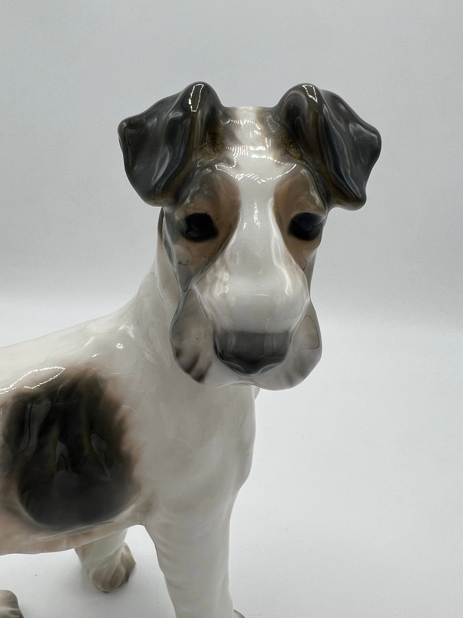 1920s Dahl Jensen Wire Haired Fox Terrier - 5
