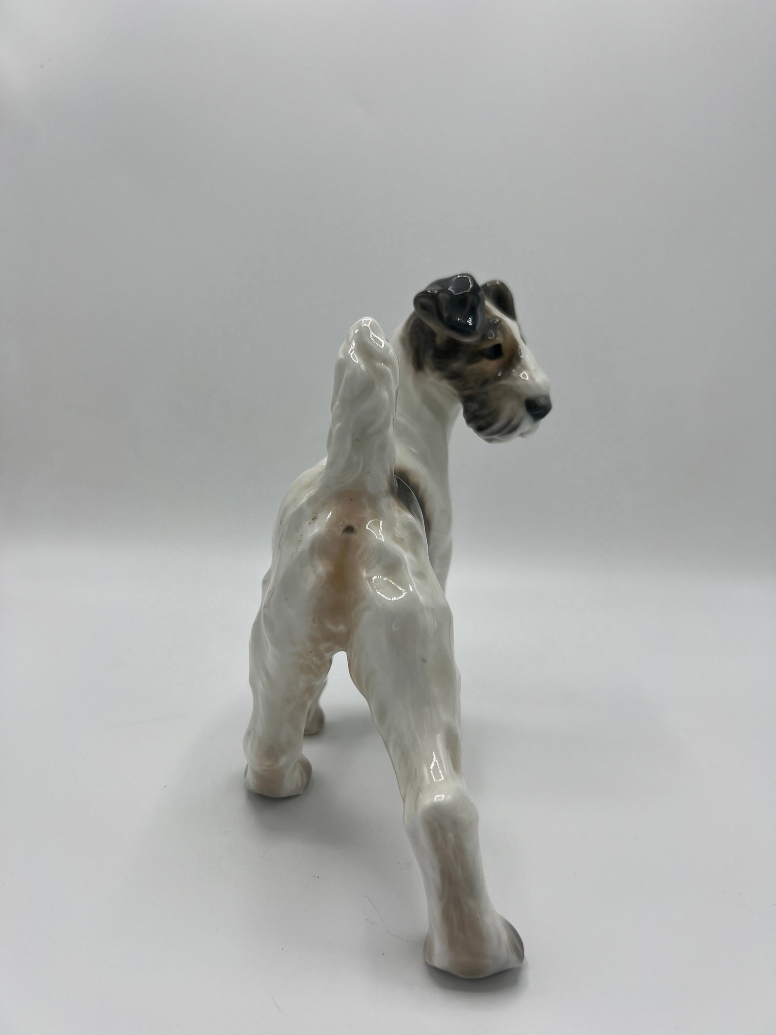 1920s Dahl Jensen Wire Haired Fox Terrier - 6