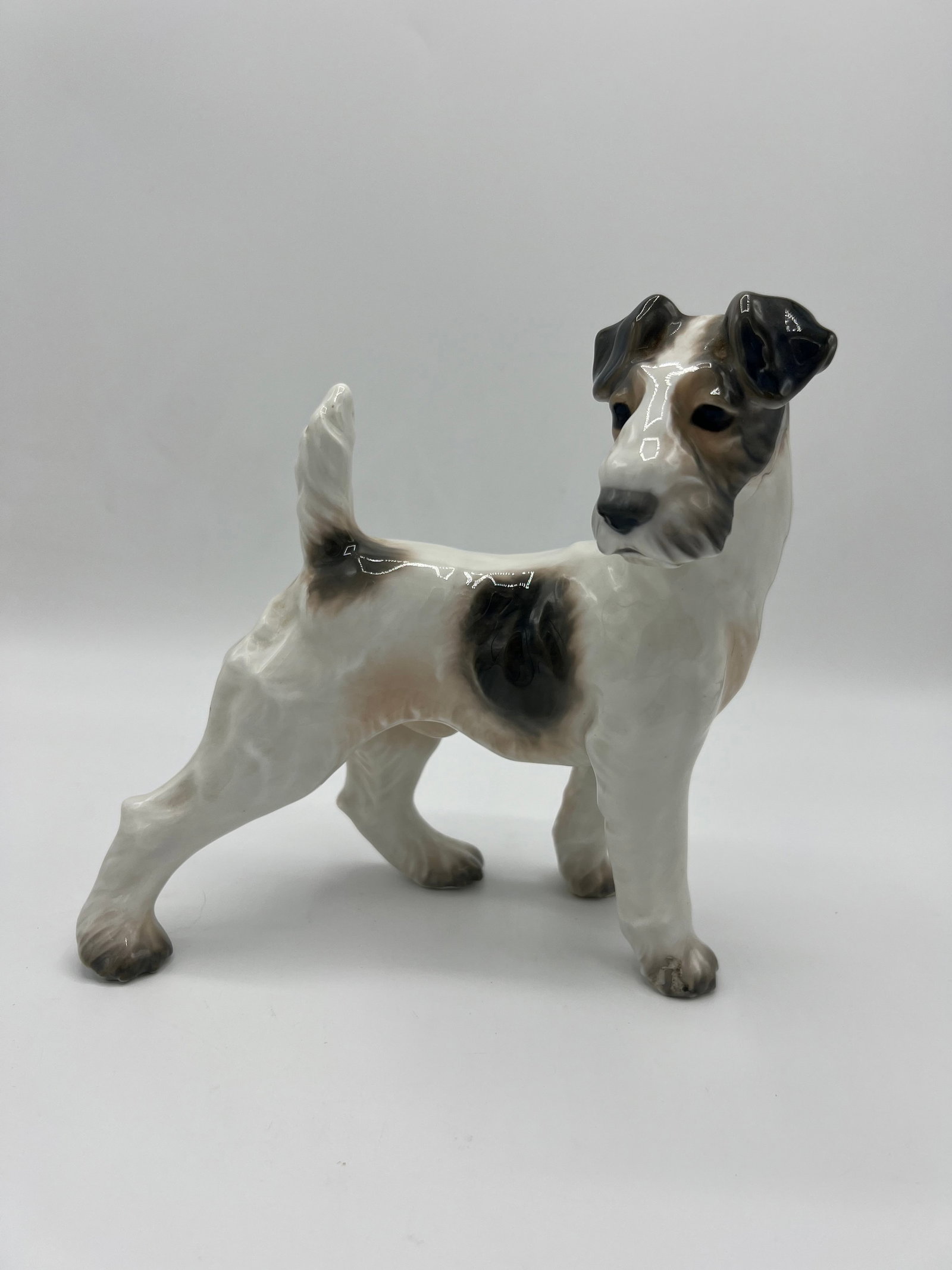 1920s Dahl Jensen Wire Haired Fox Terrier - 7