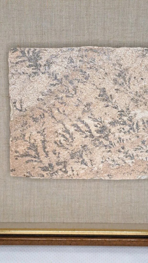 Large 1970s Manganese Oxide Dendrite Slab on Gypsum Matted Framed Rare - 10