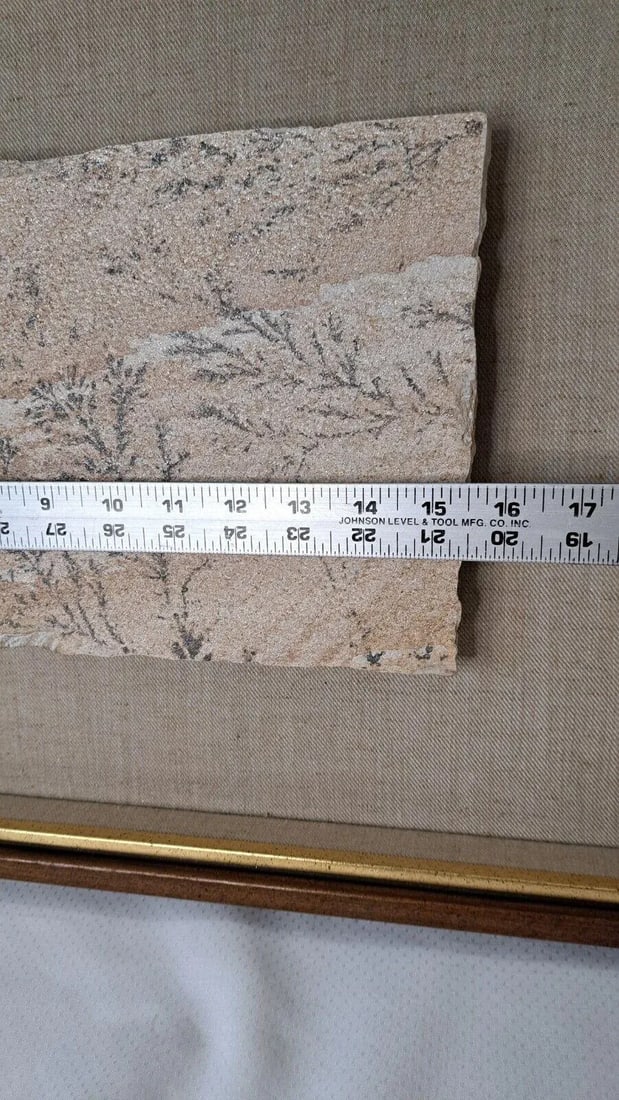 Large 1970s Manganese Oxide Dendrite Slab on Gypsum Matted Framed Rare - 11