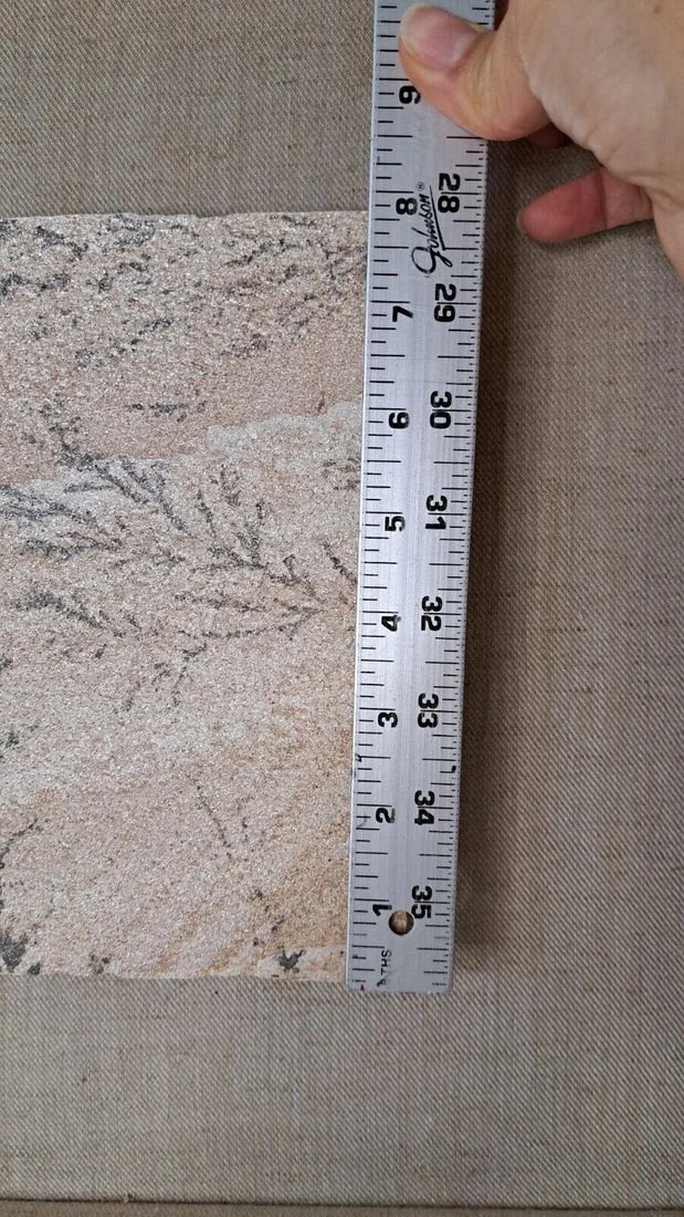 Large 1970s Manganese Oxide Dendrite Slab on Gypsum Matted Framed Rare - 12
