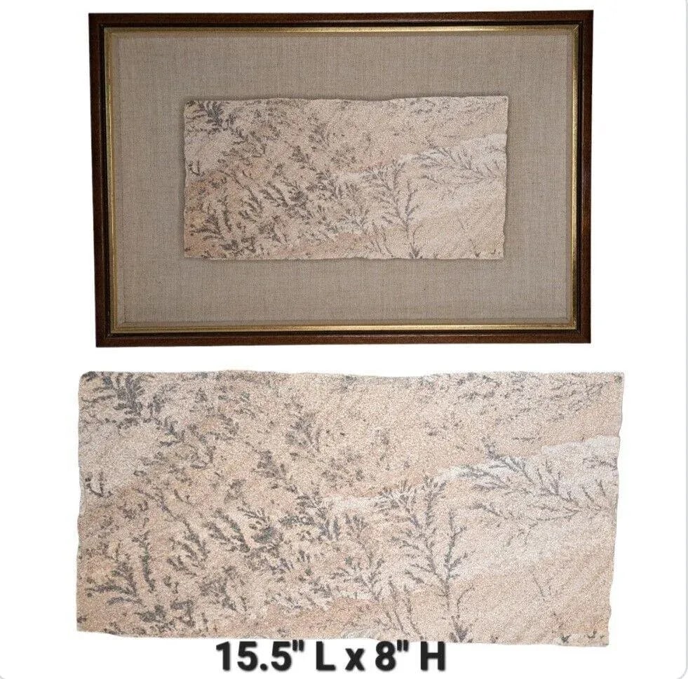 Large 1970s Manganese Oxide Dendrite Slab on Gypsum Matted Framed Rare - 2