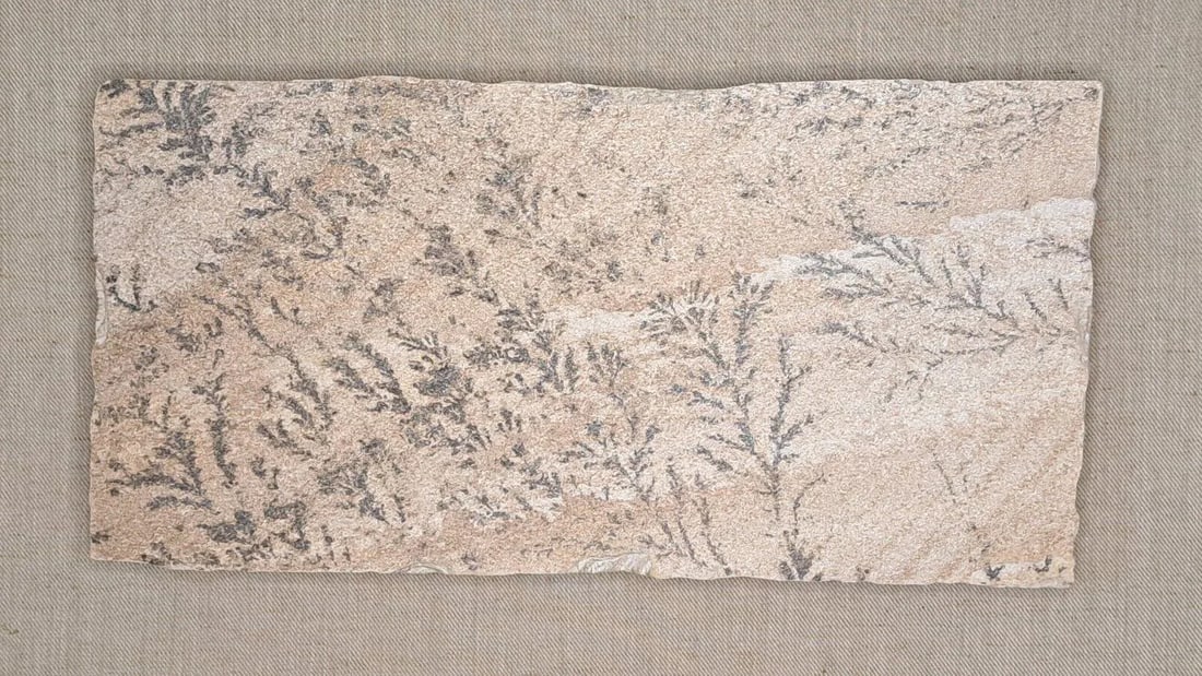 Large 1970s Manganese Oxide Dendrite Slab on Gypsum Matted Framed Rare - 3