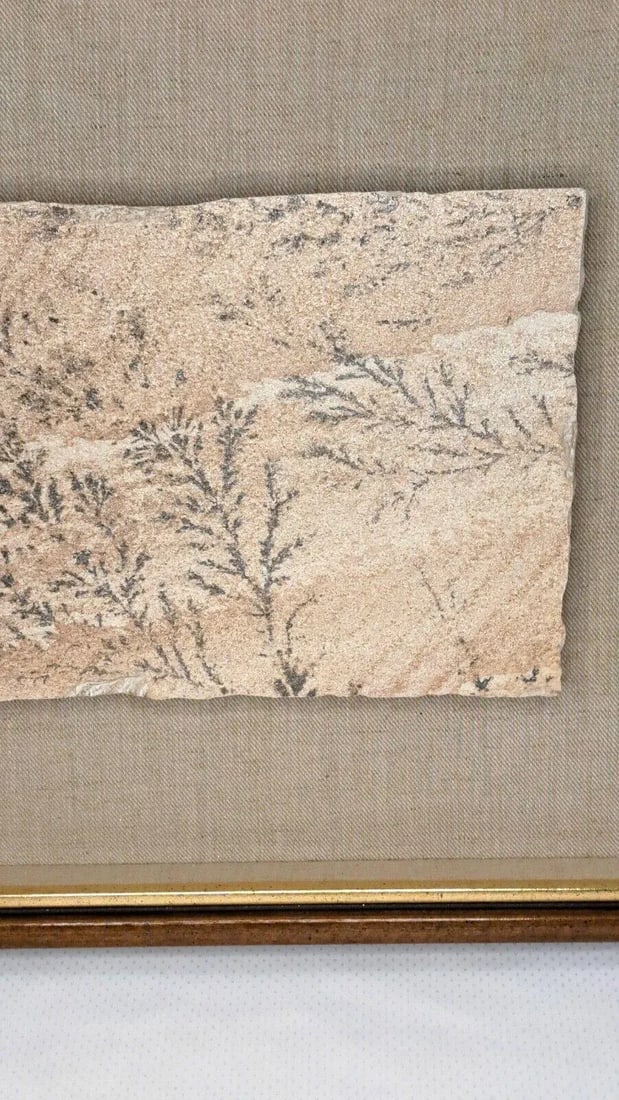 Large 1970s Manganese Oxide Dendrite Slab on Gypsum Matted Framed Rare - 5
