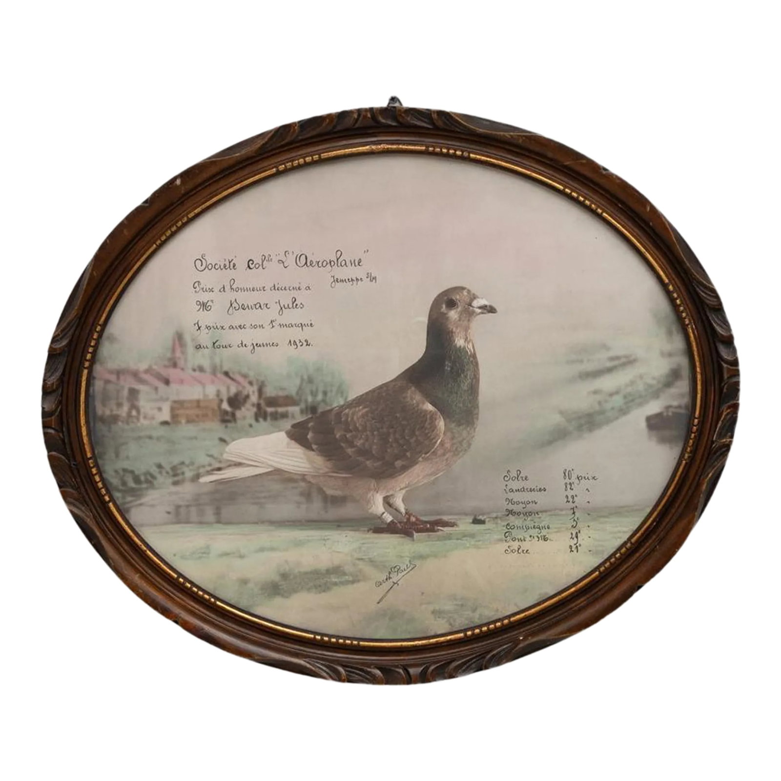 20th Century Belgian Artwork With Wooden Frame: This 20th Century Belgian artwork, beautifully encased in an oval wooden frame, exudes a sense of nostalgia and natural elegance. The painting showcases a solitary pigeon, portrayed with such realisti
