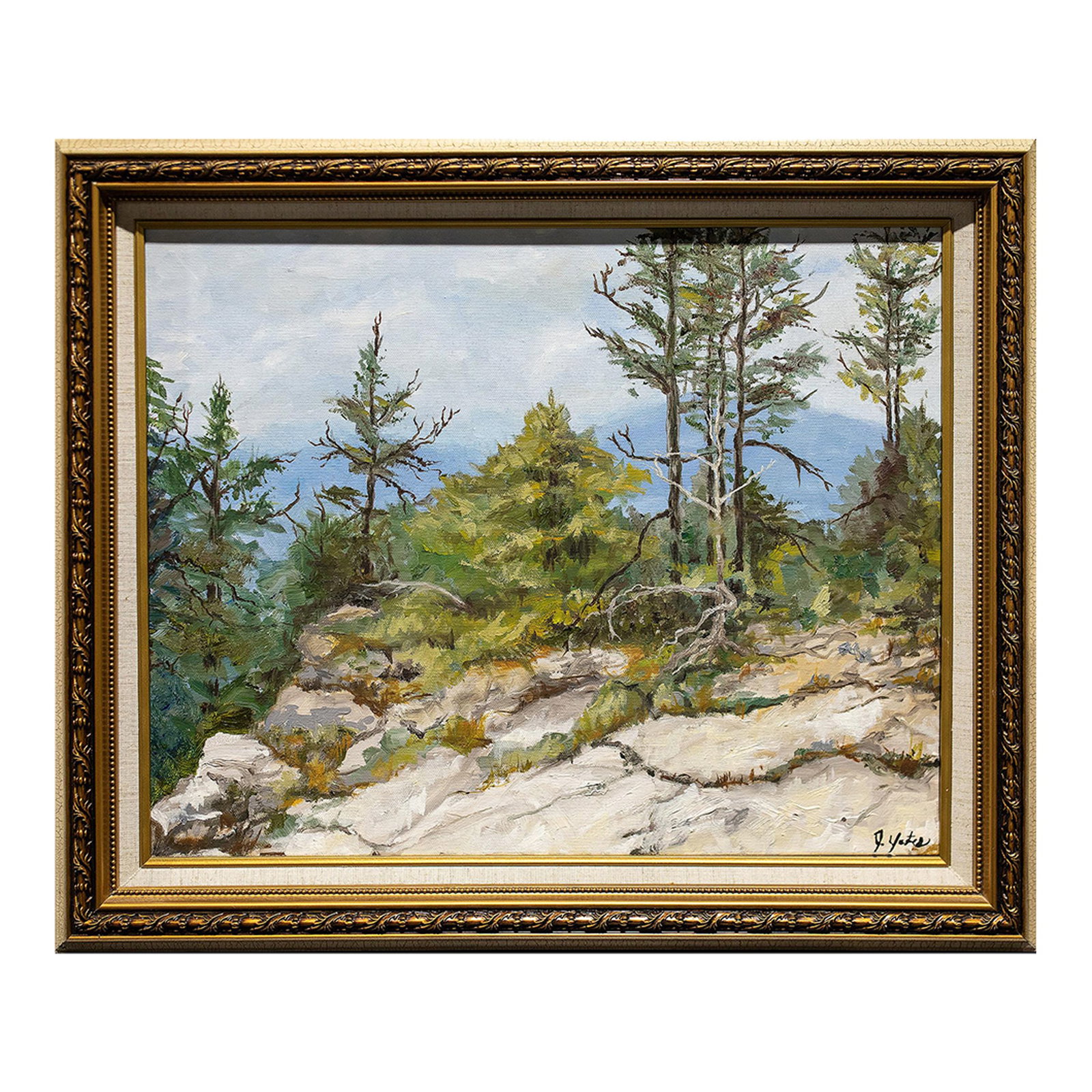 Virginia Highlands, Original Oil Painting, Framed: Virginia Highlands has always been a place where I find peace, beauty and nature to refresh my soul. I spent four days there plein air painting. And Virgina Highlands was created on a noll point