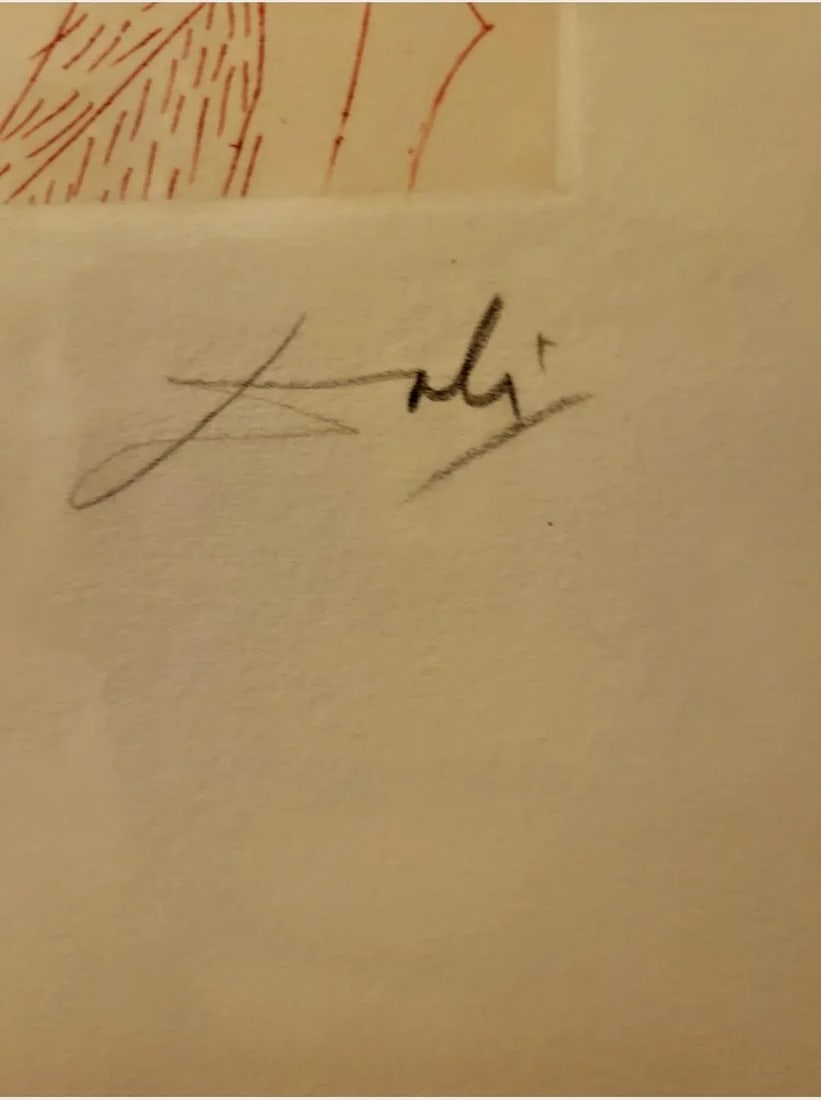 Henry Wadsworth Longfellow, Etching by Salvador Dali, Framed, with COA - 3