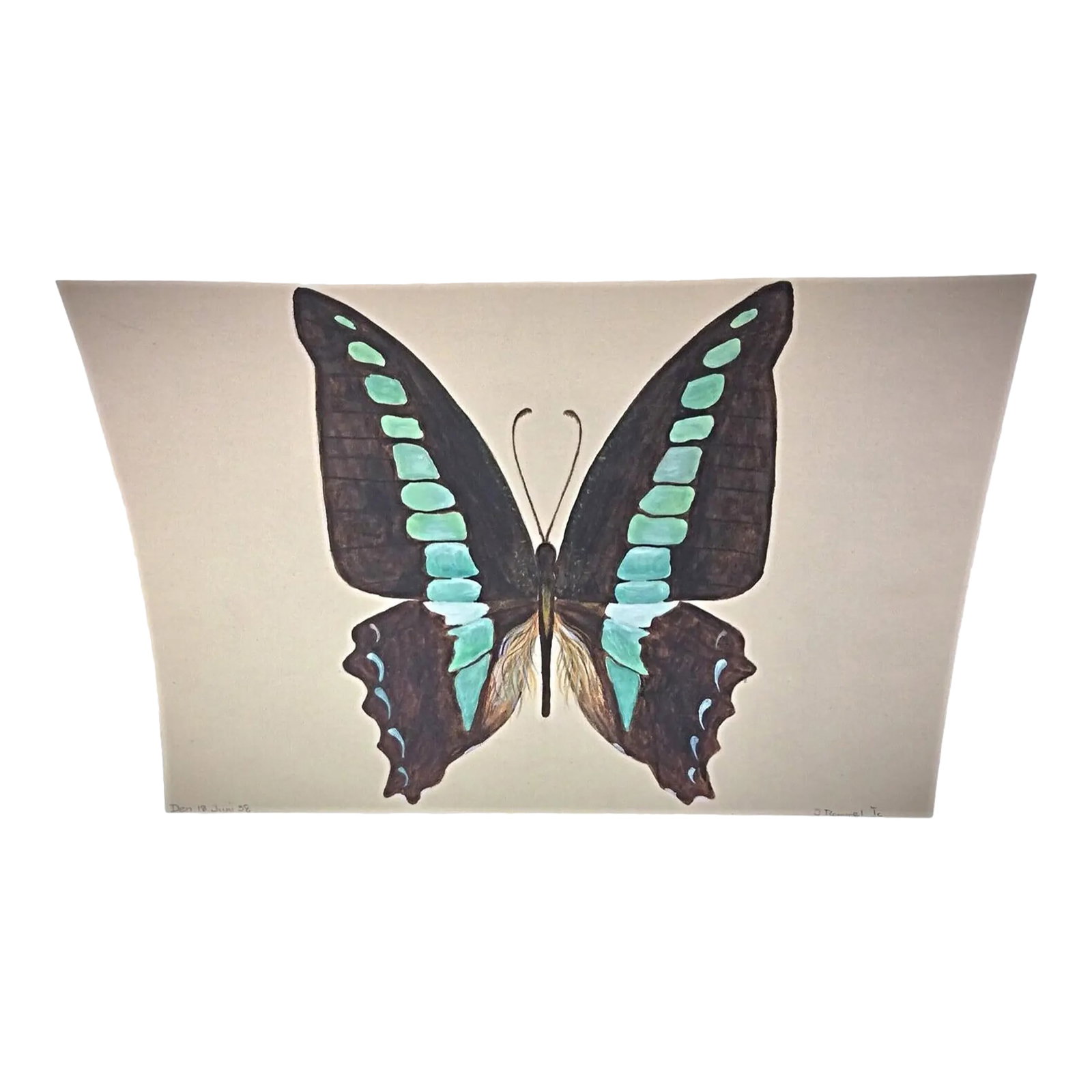 1985 Watercolor of a Brown & Blue Butterfly by J. Rene Rommel - Signed: This beautiful 1985 watercolor by J. Rene Rommel captures the delicate beauty of a brown and blue butterfly in striking detail. The artwork, measuring 21 cm in height and 30 cm in length, is signed