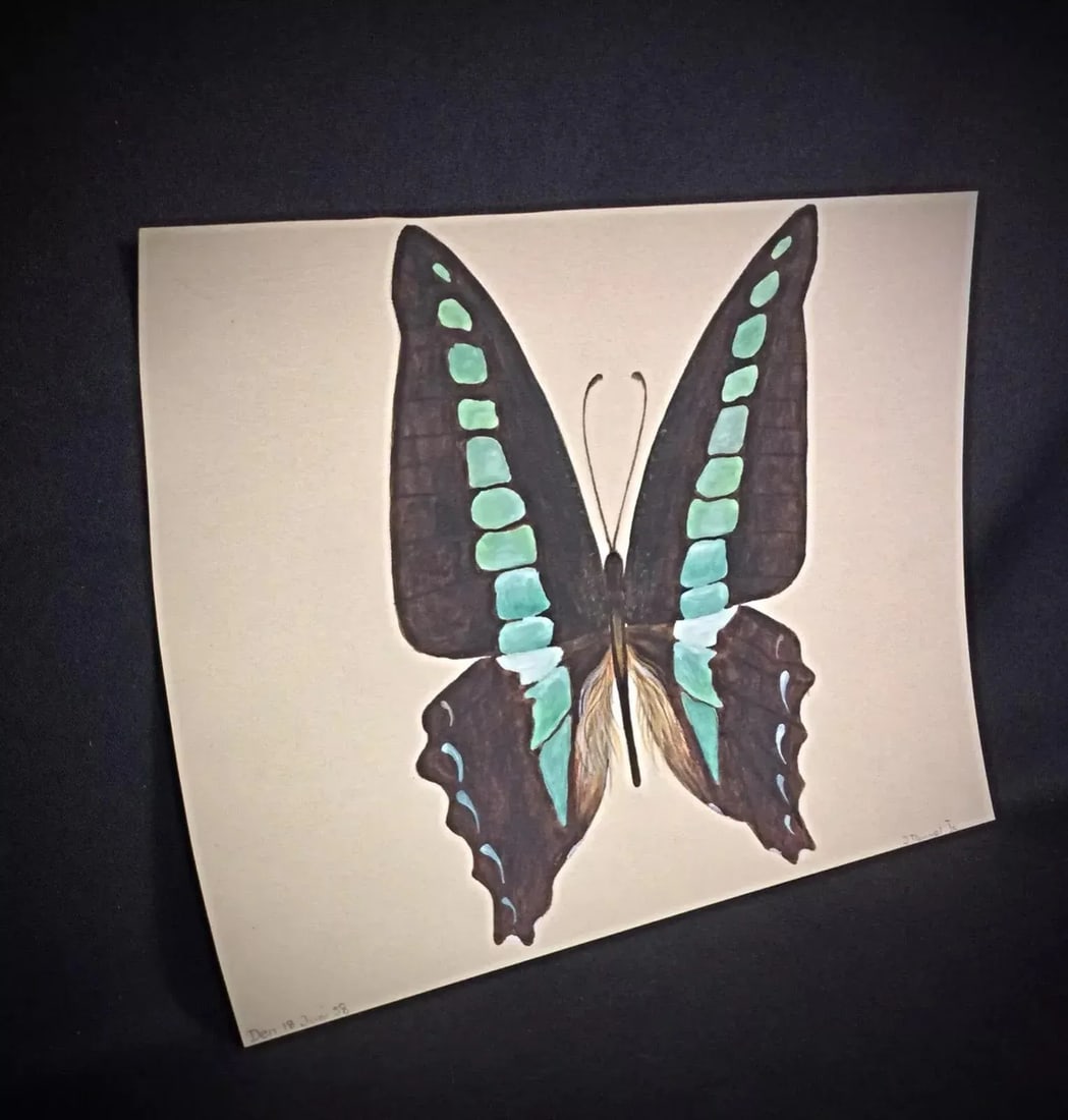 1985 Watercolor of a Brown & Blue Butterfly by J. Rene Rommel - Signed - 3