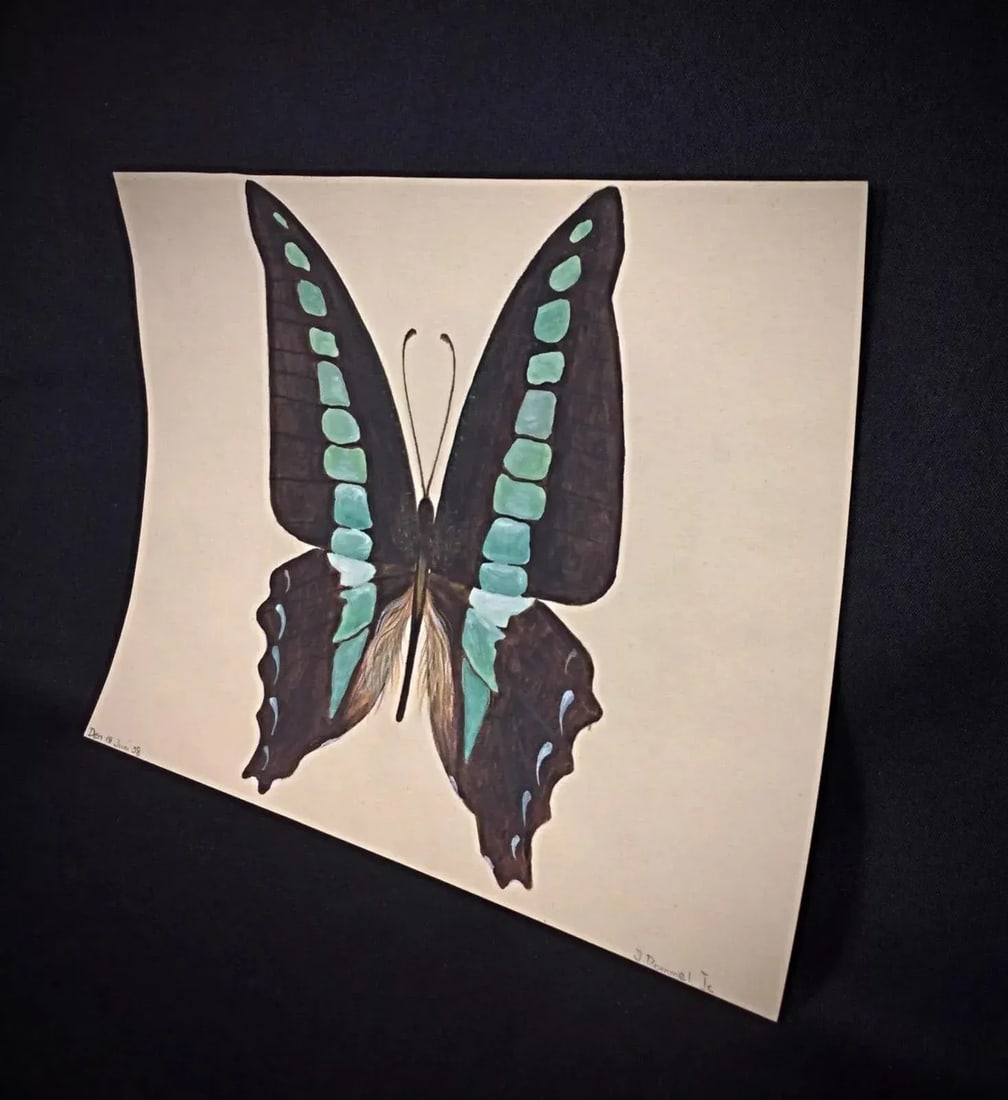 1985 Watercolor of a Brown & Blue Butterfly by J. Rene Rommel - Signed - 5