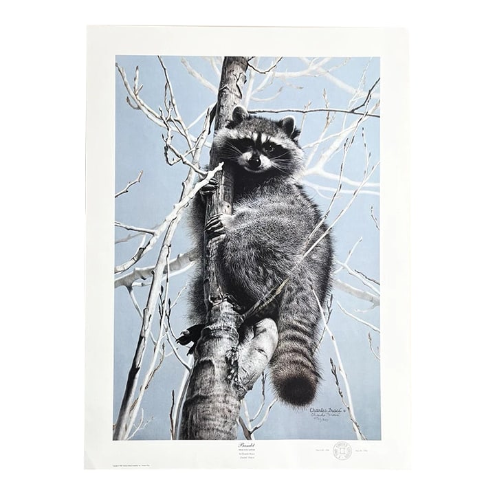 1984 Charles Frace "Bandit, Raccoon" Print (1 of 4)