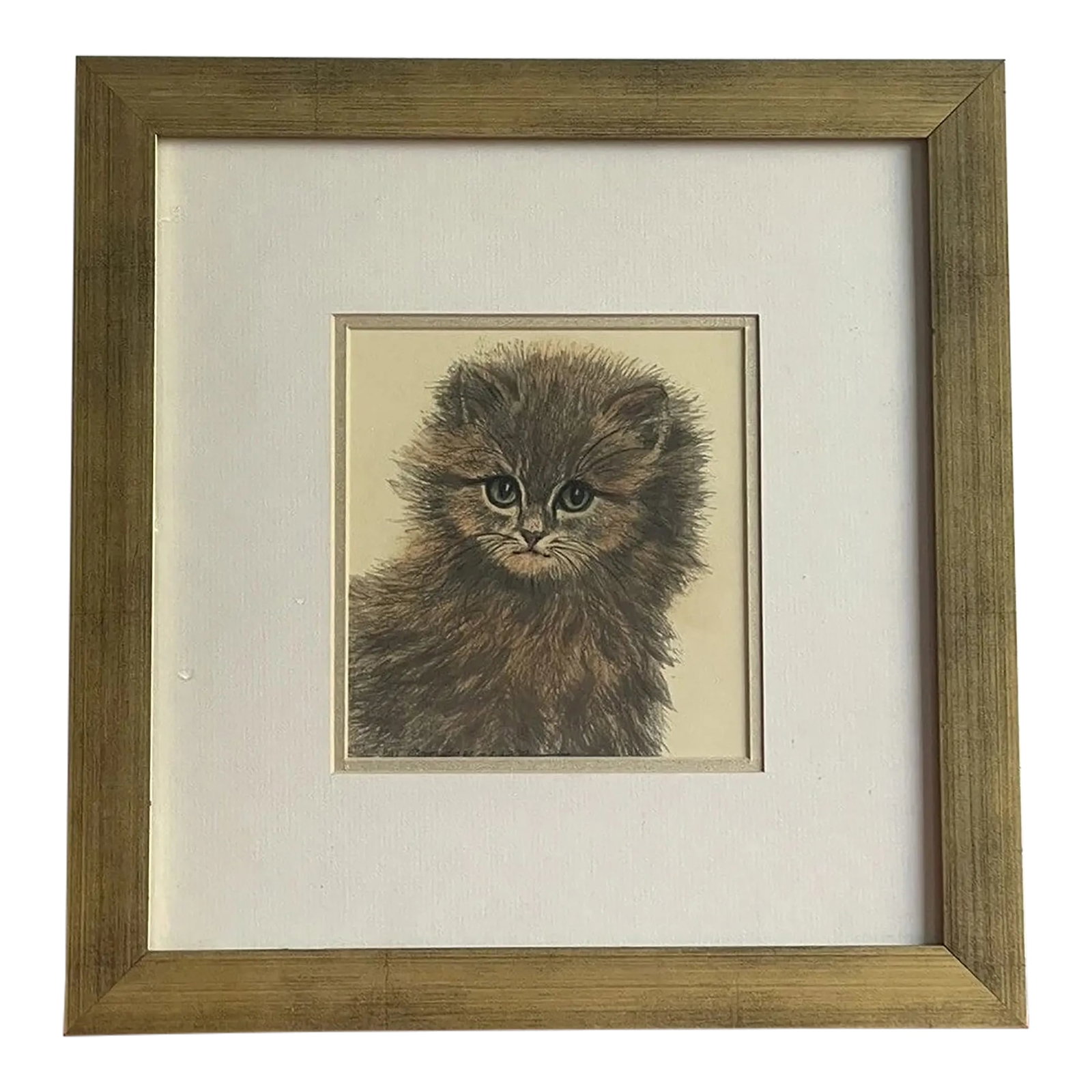 Ooak Cat Kitten Hand-Colored Pastel Lithograph Art Signed Gatterbauer Framed #8: PALM BEACH ESTATE TREASURE!! One of a kind Cat Kitten Hand-Colored Pastel Lithograph Fine Art Signed by Margit Gatterbauer. This adorable and expressive fluffy green eyes feline measures