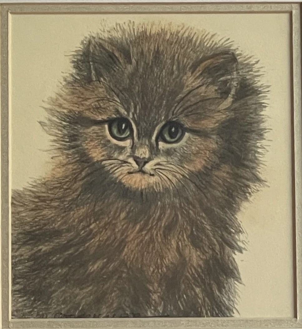 Ooak Cat Kitten Hand-Colored Pastel Lithograph Art Signed Gatterbauer Framed #8 - 2
