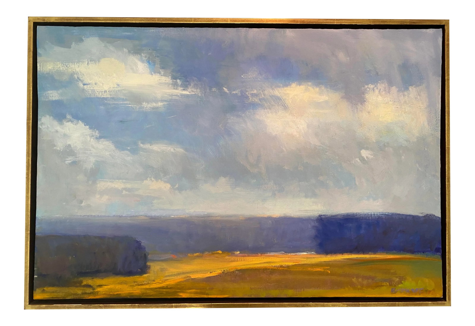 "Clouds of White" Painting by Ira Barkoff: Ira Barkoff's paintings feature abstract landscapes that reflect the essence of nature. Ira is inspired by the atmospheric qualities of works by Claude Monet and J. M. W. Turner and is often showcased