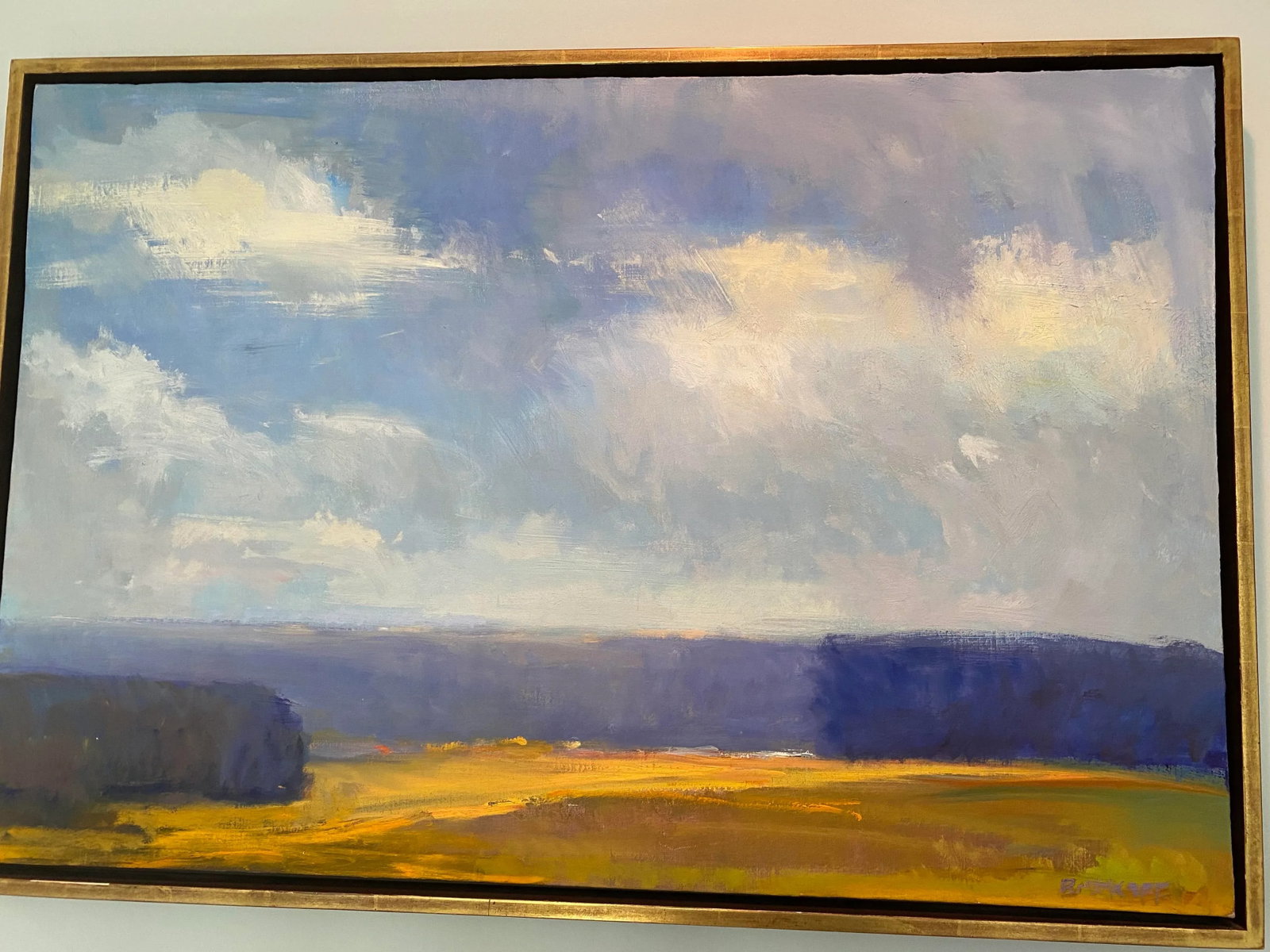 "Clouds of White" Painting by Ira Barkoff - 6