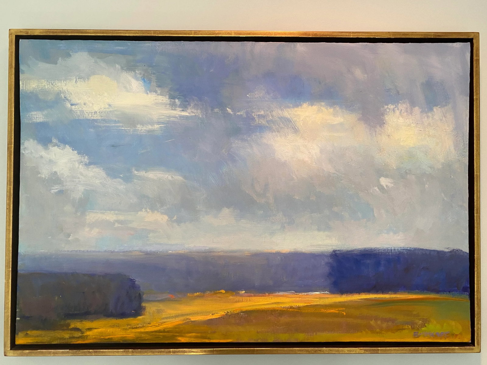 "Clouds of White" Painting by Ira Barkoff - 8