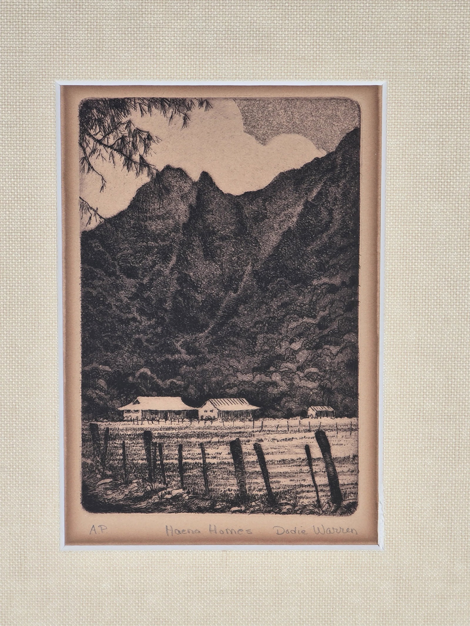 Vintage Hawaiian Intaglio Engraving Print Dodie Warren Haena Homes Signed - 3