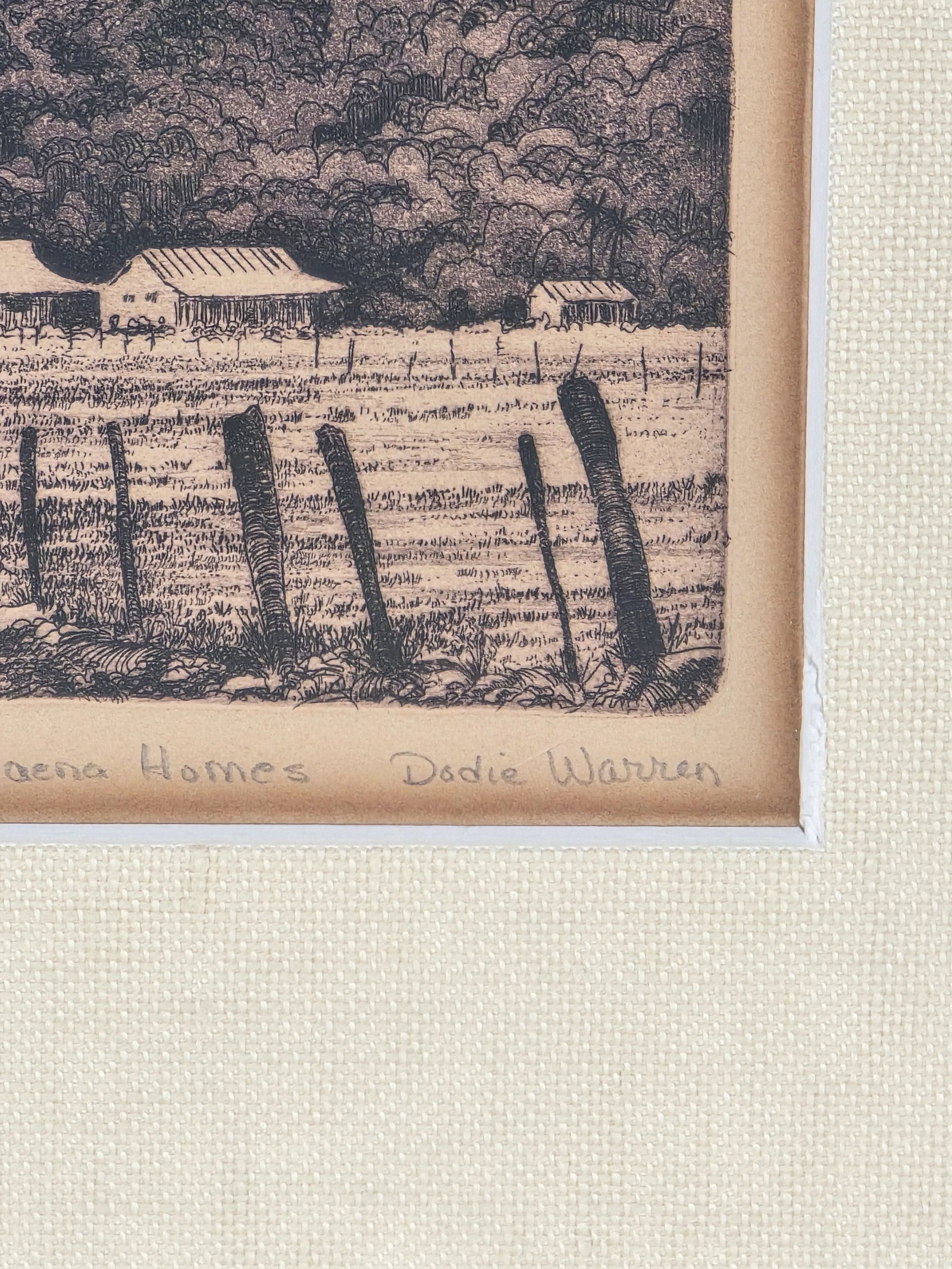 Vintage Hawaiian Intaglio Engraving Print Dodie Warren Haena Homes Signed - 6