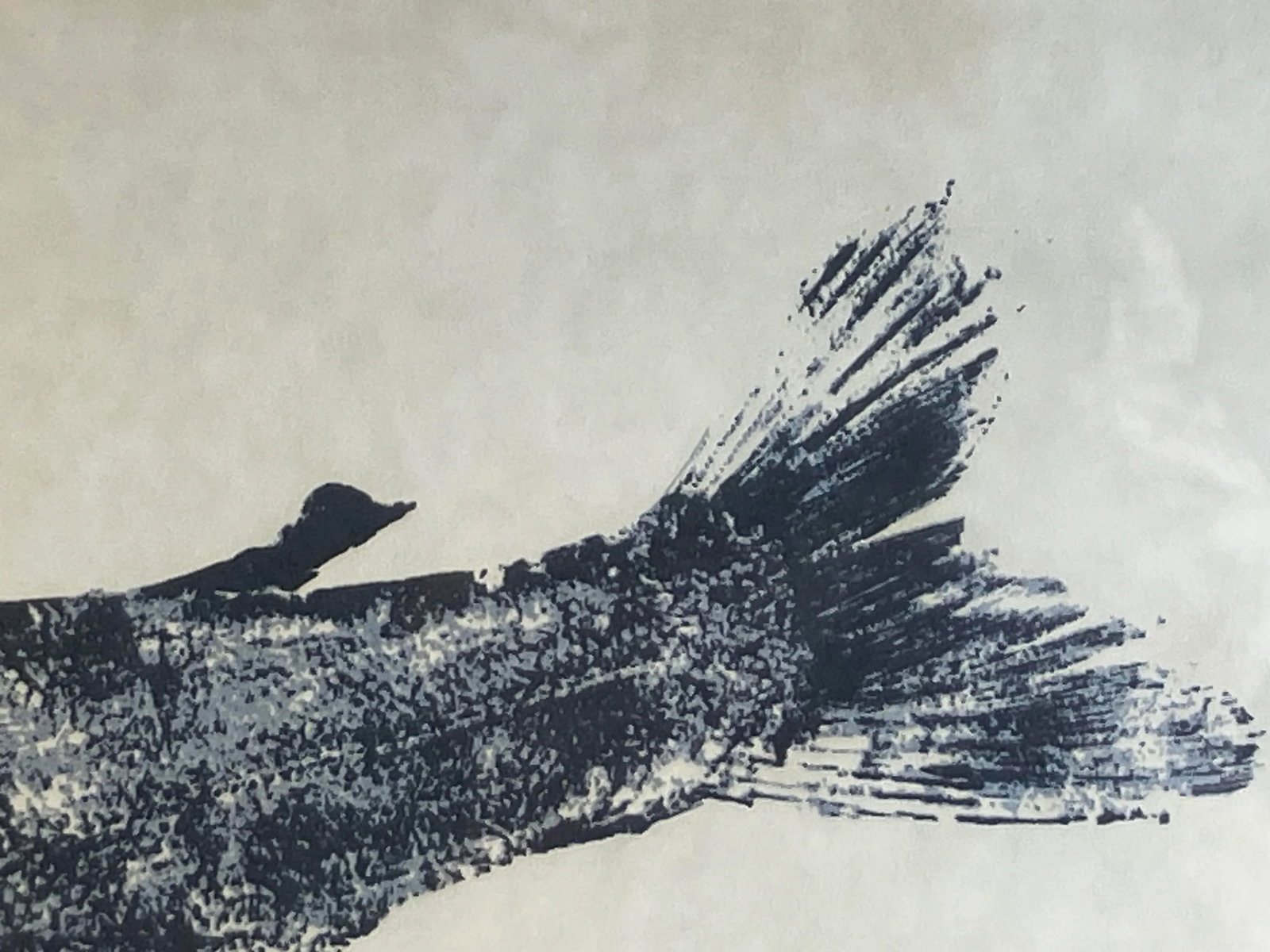 Gyotaku Fish Print "Silver Salmon" by Larry M. Smith - Vintage Framed Fishing Art, Japanese, Coastal - 9