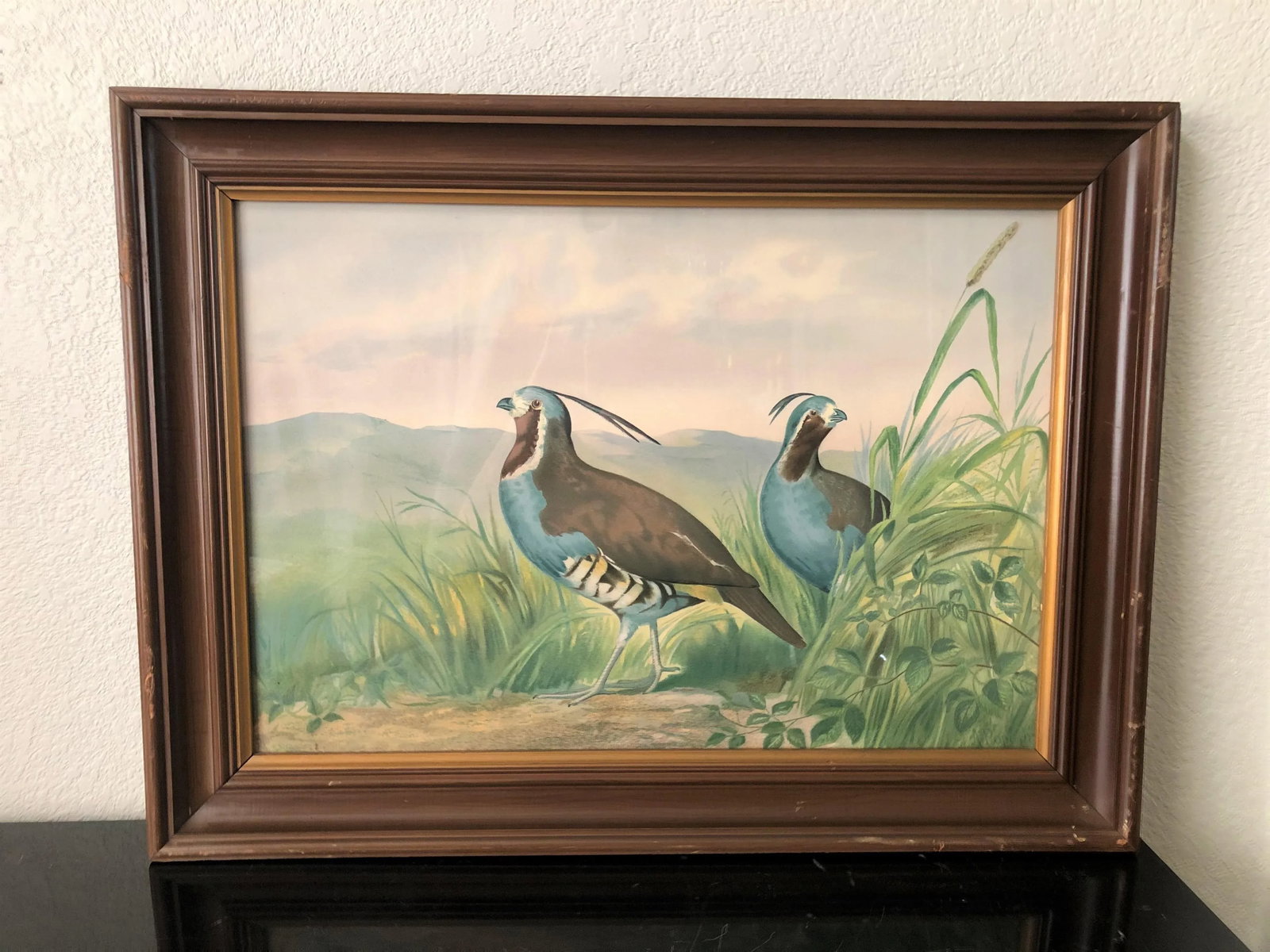 1875 Pope Alexander Jr Chromolithograph Quails Painting, Framed - 8