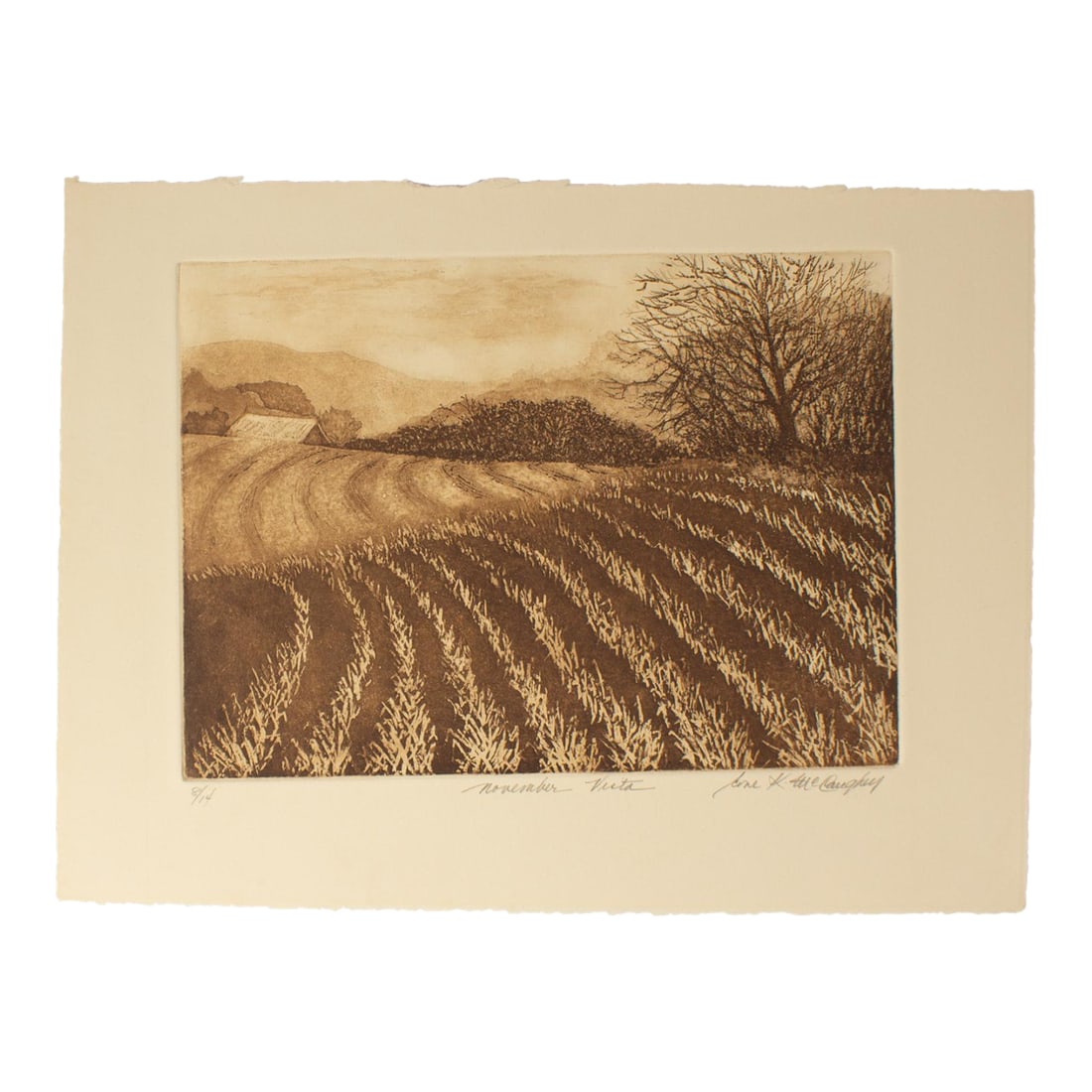 "November Vista" Aquatint Landscape Print by Rose K. McCaughey: An aquatint print by the American artist Rose K. McCaughey. Titled "November Vista," this landscape print depicts a farm with rolling hills lined with plants and a barn in the distance. Unframed, the 