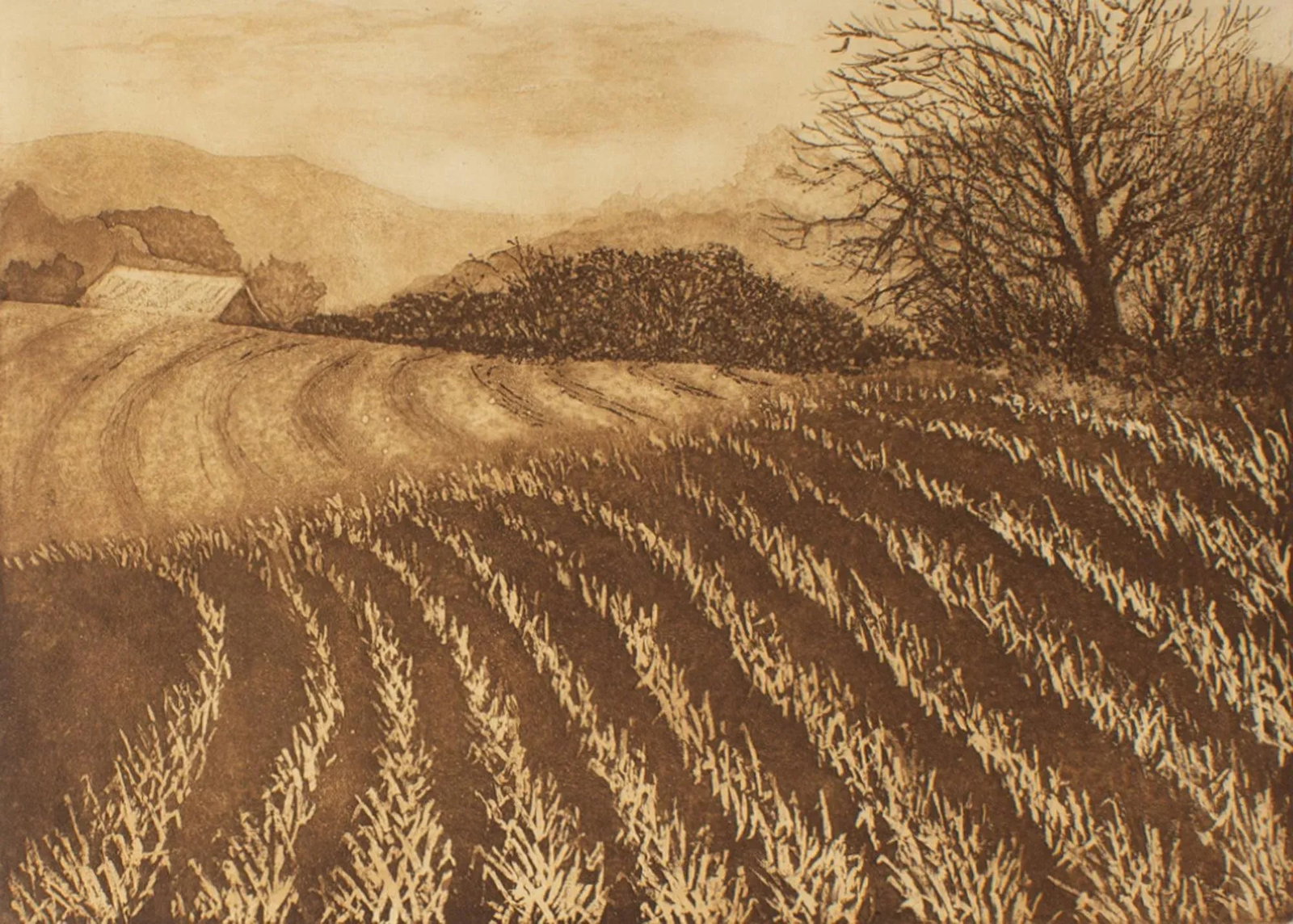 "November Vista" Aquatint Landscape Print by Rose K. McCaughey - 2