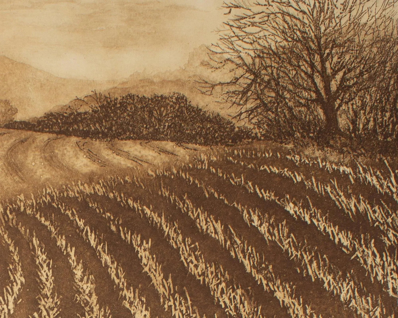 "November Vista" Aquatint Landscape Print by Rose K. McCaughey - 9