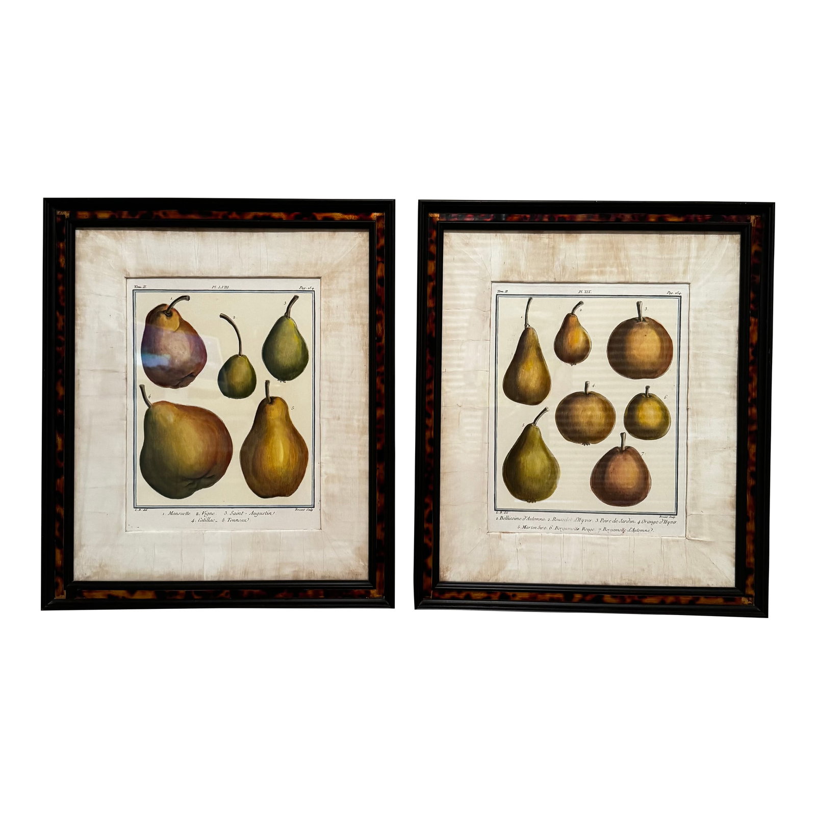 18th Century Inspired Botanical Pear Prints, A Pair: Pair of botanical pear prints after a 1768 engraving entitled "Bellissime d'automne" related to pear varieties first published by L.B. del Breant Sculp. These were purchased through a dealer in 1993.