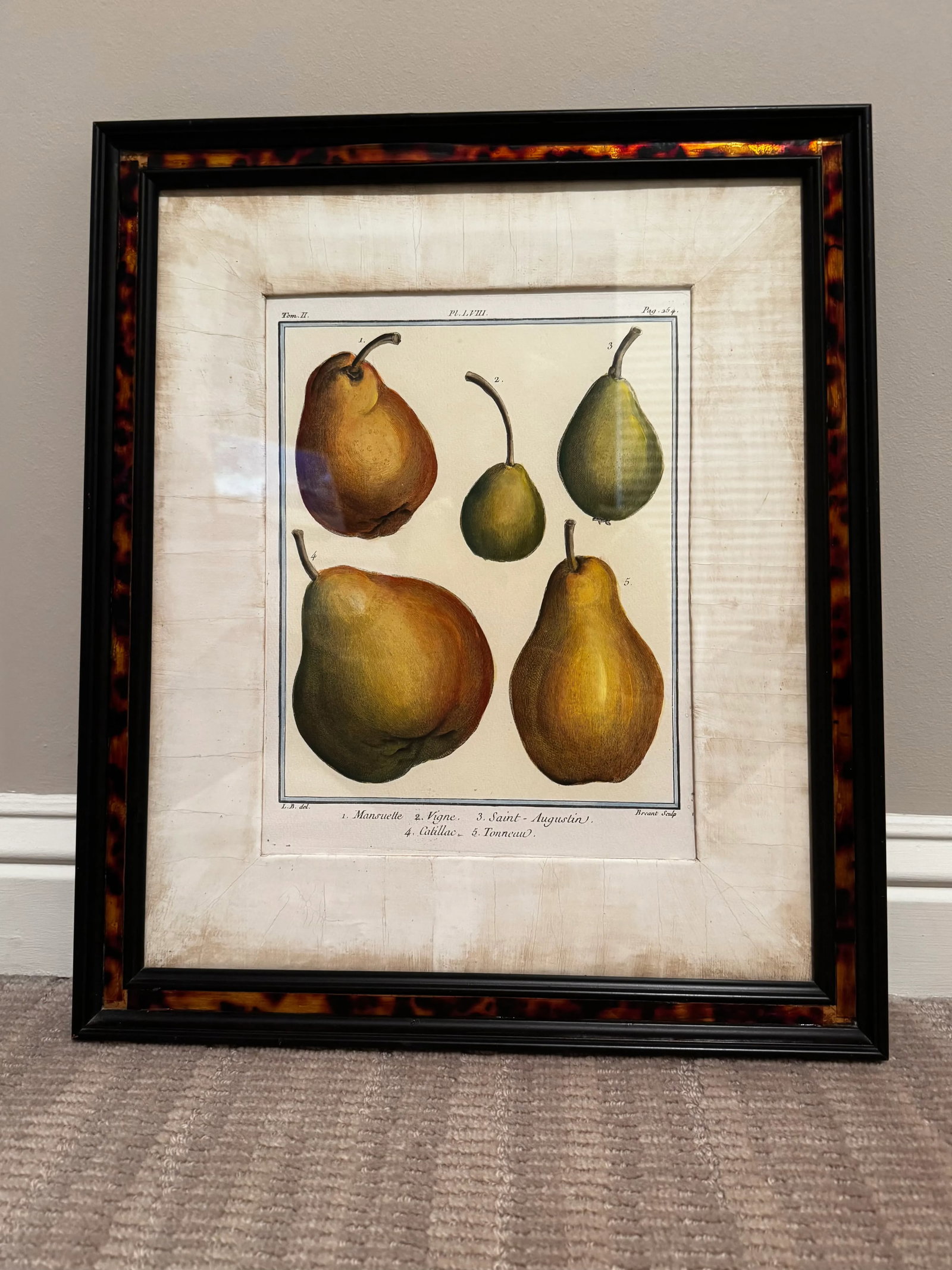 18th Century Inspired Botanical Pear Prints, A Pair - 6