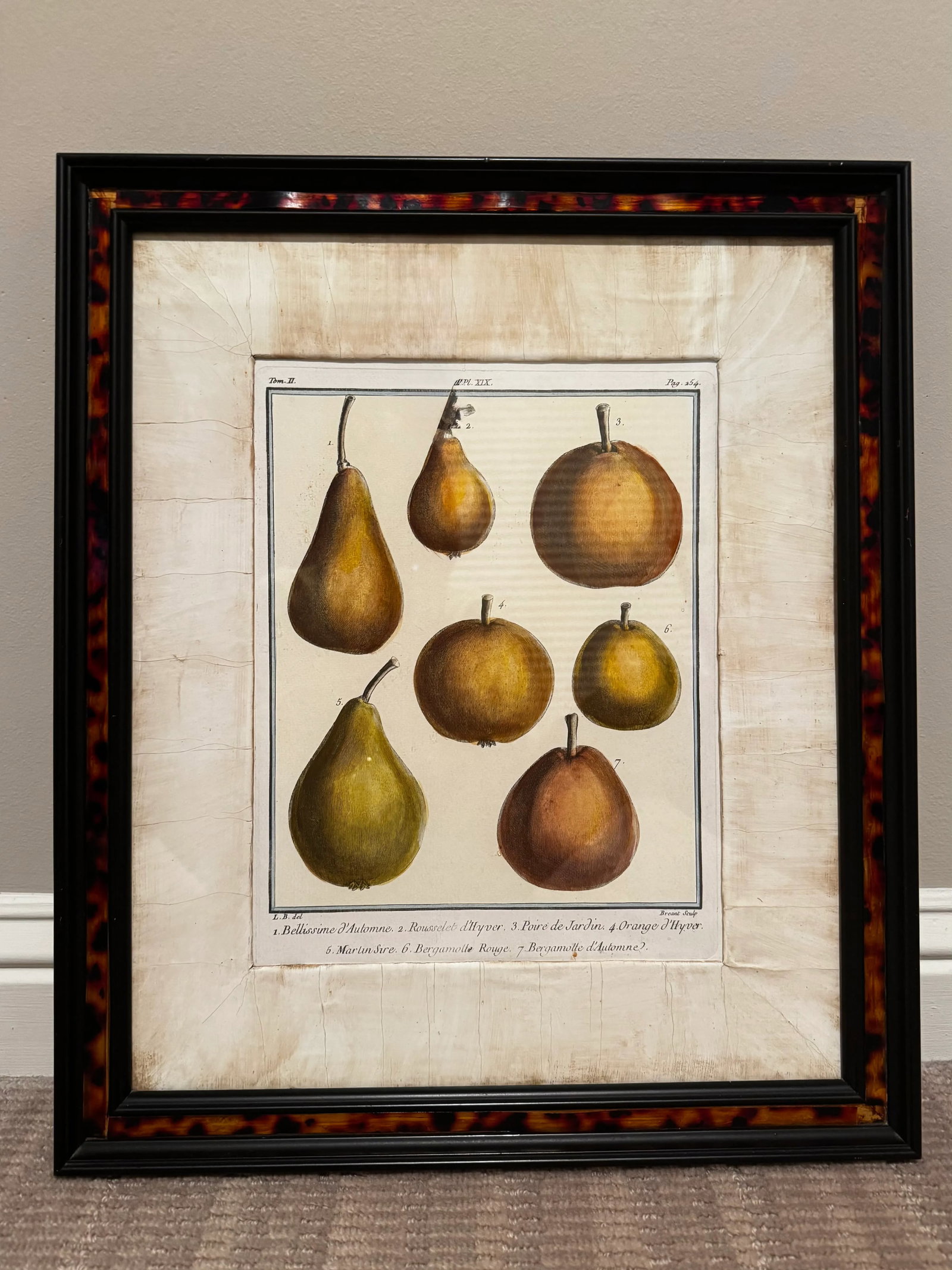 18th Century Inspired Botanical Pear Prints, A Pair - 7