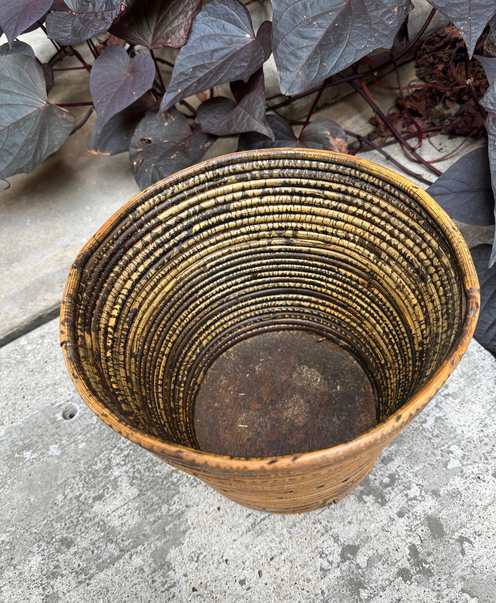 Mid Century Italian 1970s Vintage Gabriella Crespi Style Pencil Reed Planter - 5
