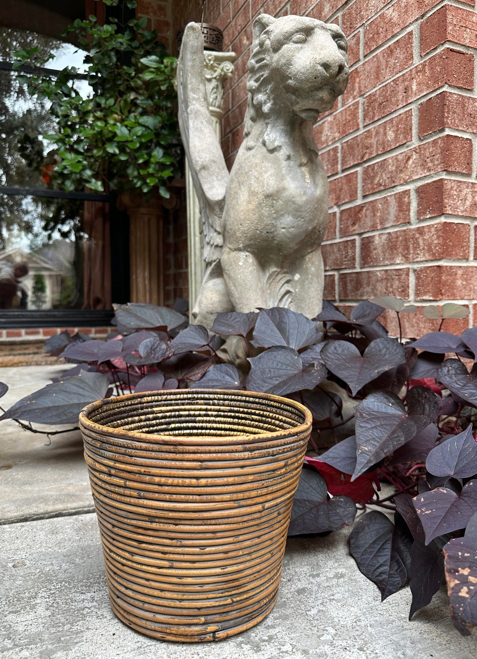 Mid Century Italian 1970s Vintage Gabriella Crespi Style Pencil Reed Planter - 6