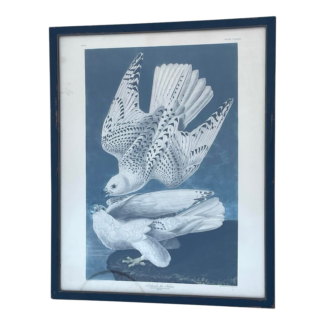 Antique Audubon Print by K. Havell 1837: Drawn from nature by JJ Audubon. Engraved, Printed and Coloured By K Havell 1837. Condition: Alterations: Original Condition Unaltered Imperfections: Needs Restoration Condition Notes: Some