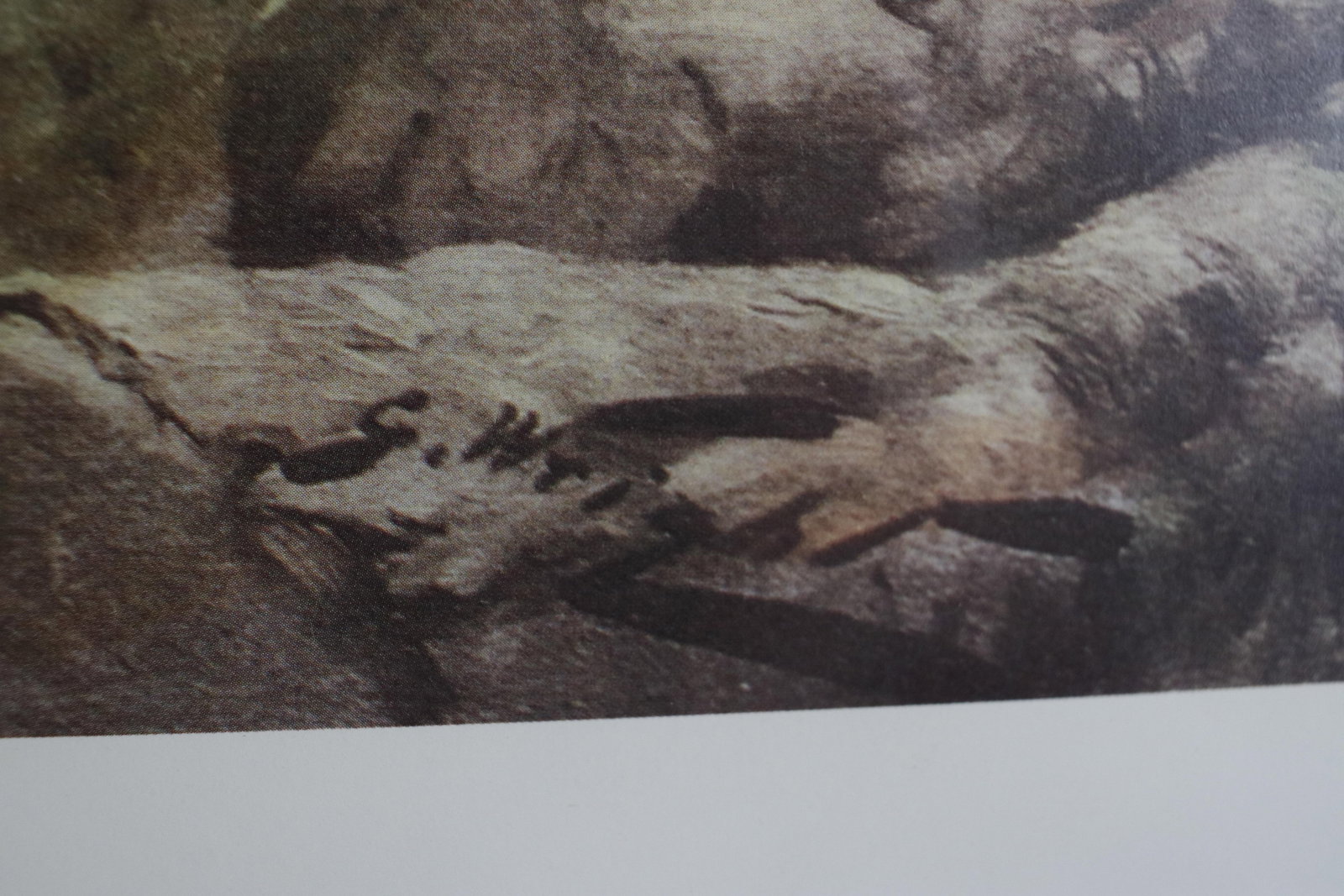 Vintage Lithograph of a British Fox Hunting Scene "The Pink of Condition" by George Wright - 10