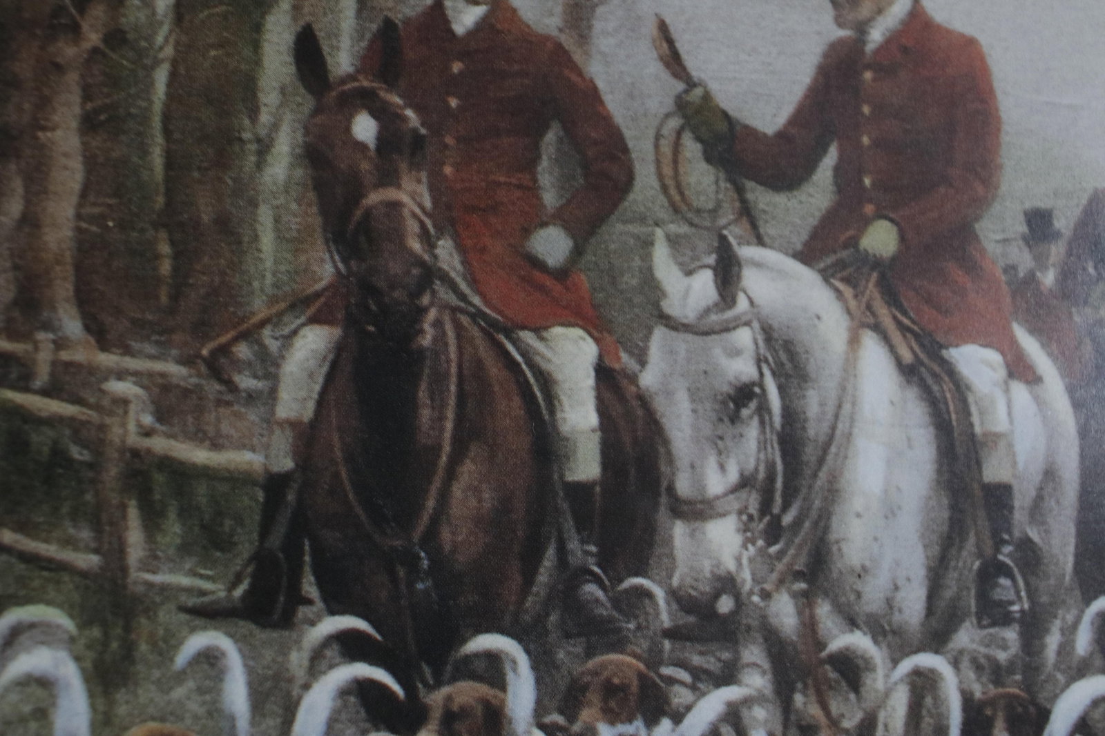 Vintage Lithograph of a British Fox Hunting Scene "The Pink of Condition" by George Wright - 18