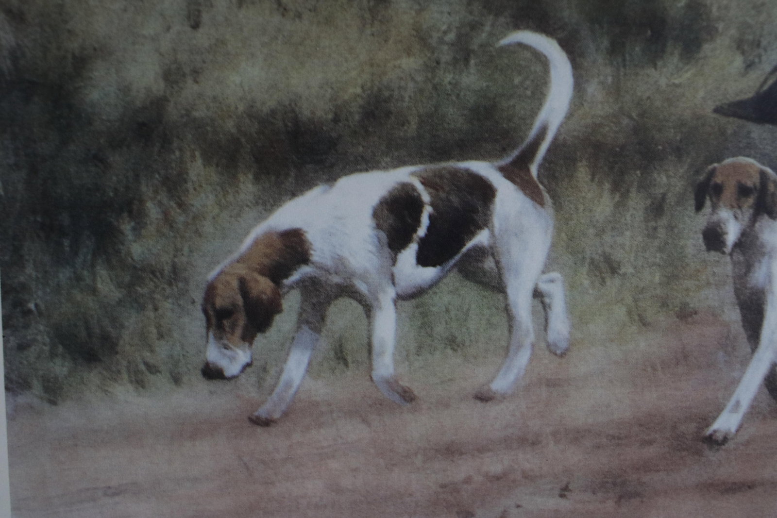 Vintage Lithograph of a British Fox Hunting Scene "The Pink of Condition" by George Wright - 9