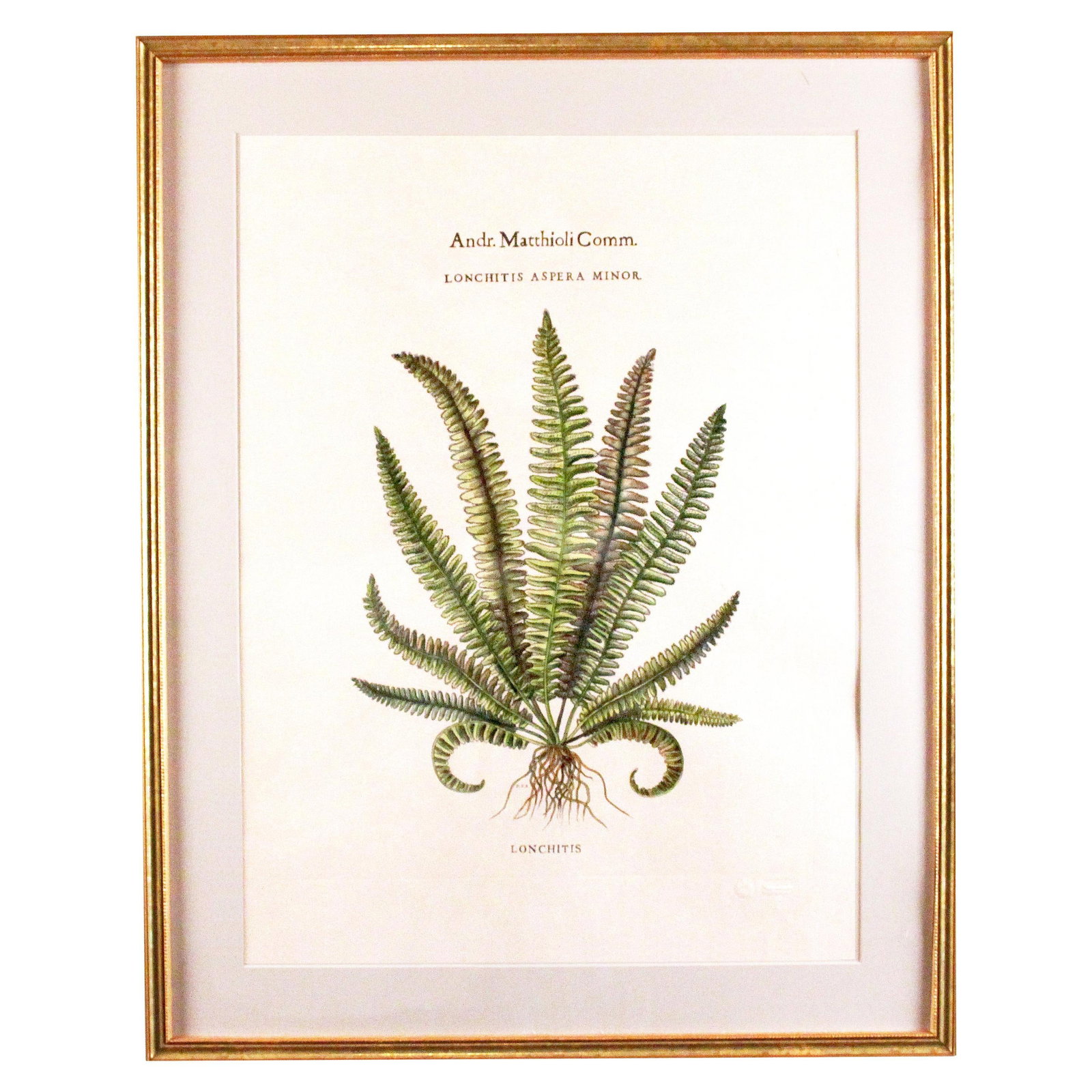 Original Vintage Custom Botanical Fern Prints with Makers Stamp - 2
