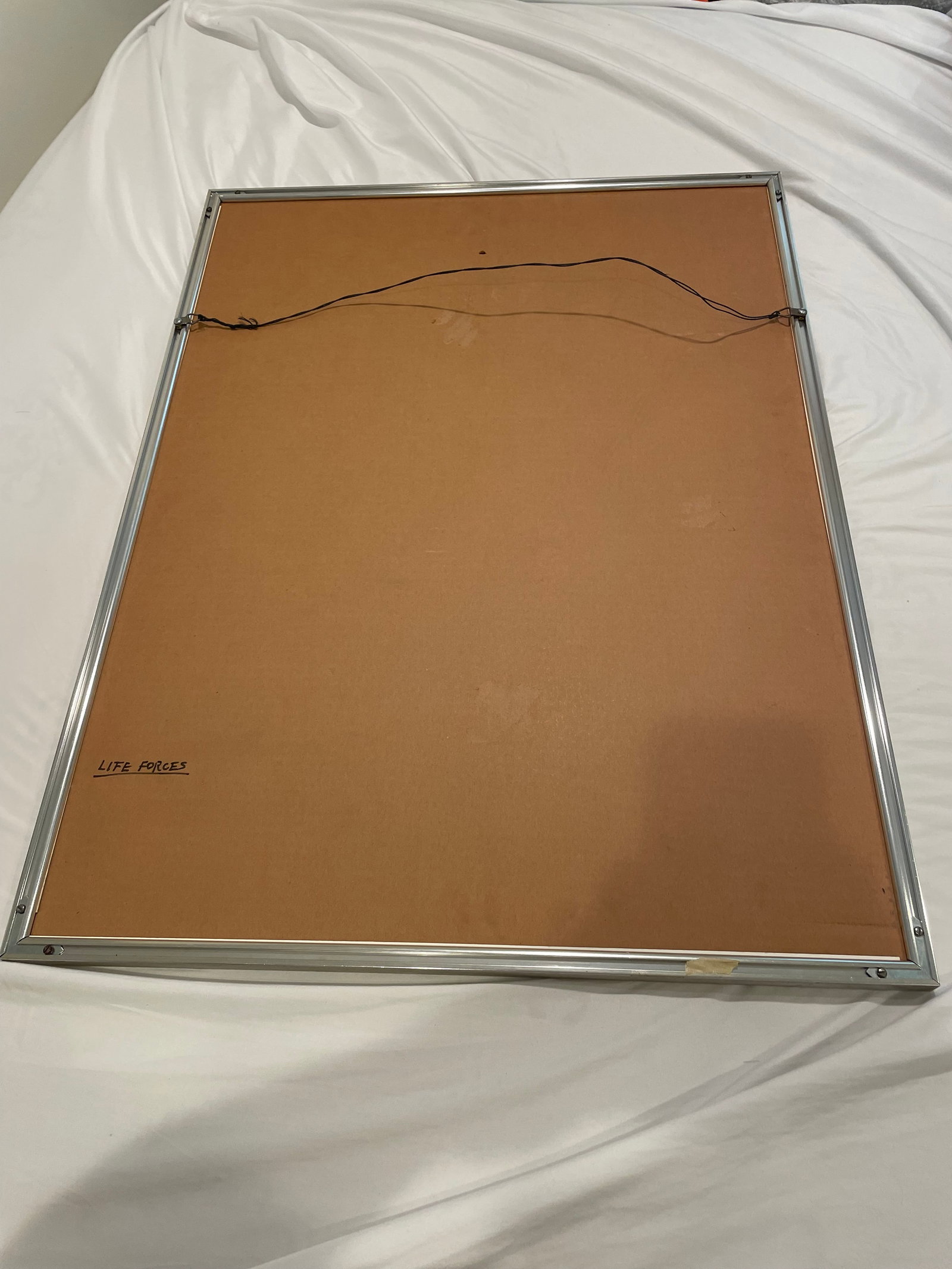 1970s Kyohei Inukai "Life Forces" Artist Proof 11/30 Signed - 6