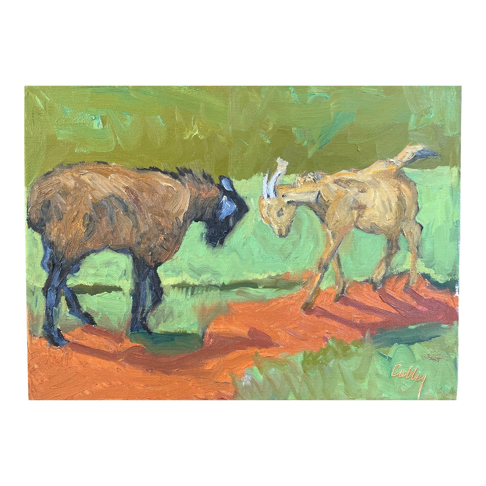 Red Dirt Goats Painting: This is a painting of Hawaiian Goats Sparing. I loved the image of a smaller goat challenging the much bigger goat, who would let him learn "a lesson". The soil in Hawaii is volcanic red which in the