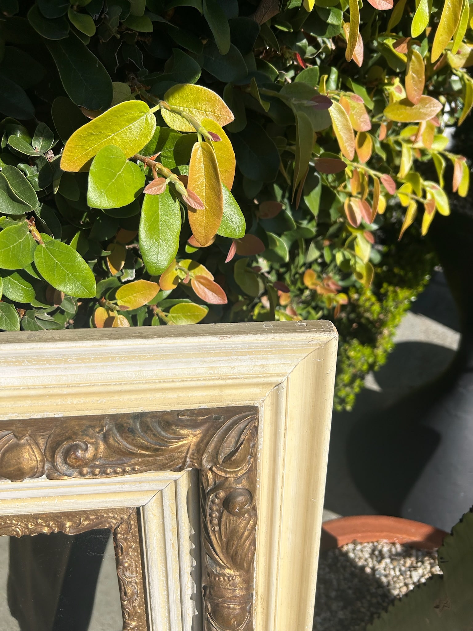 Vintage Wood & Gilt Framed Mirror - 10