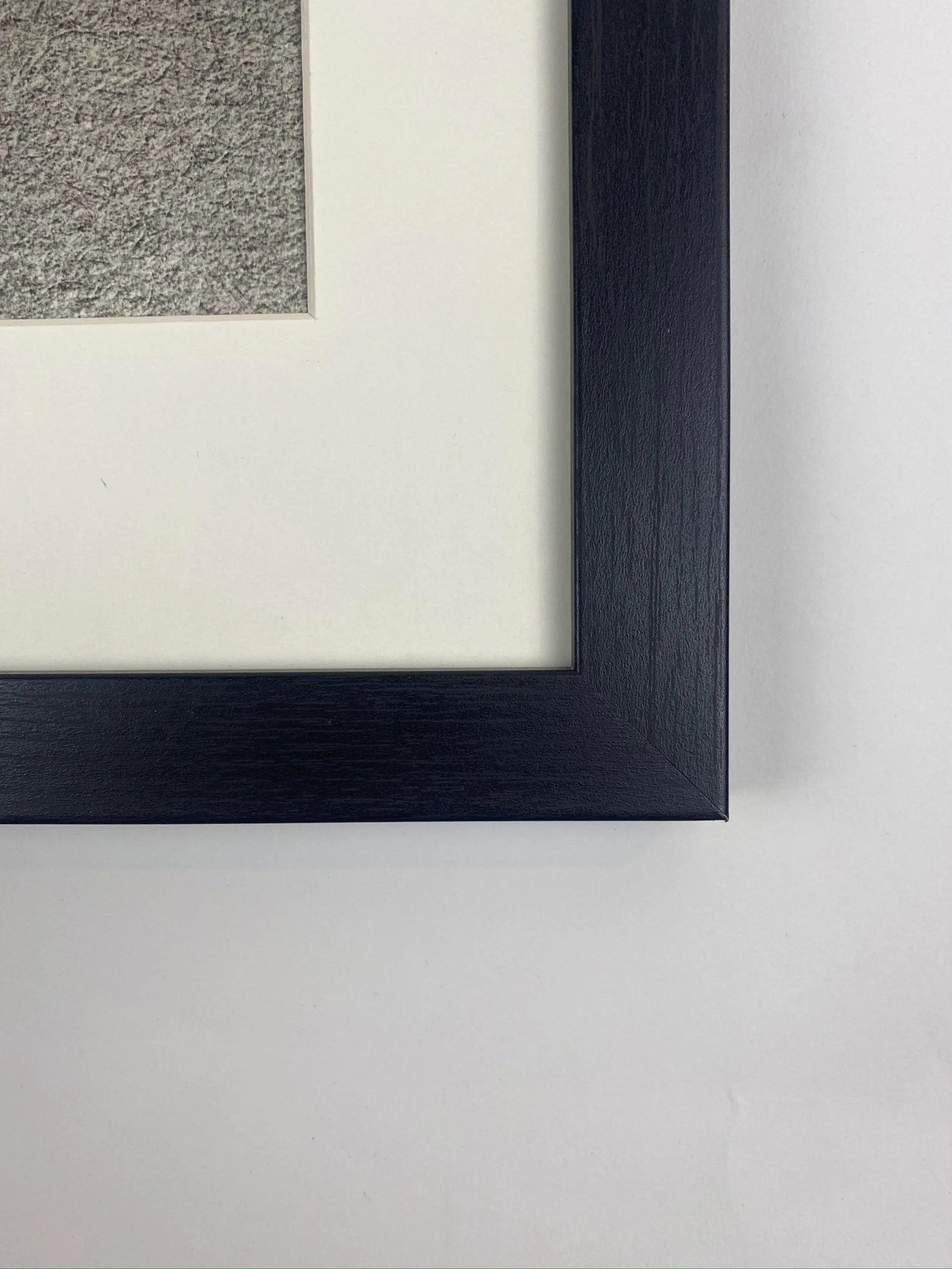 1930s Framed Botanical Blossfeldt Print - No. 75 - 4