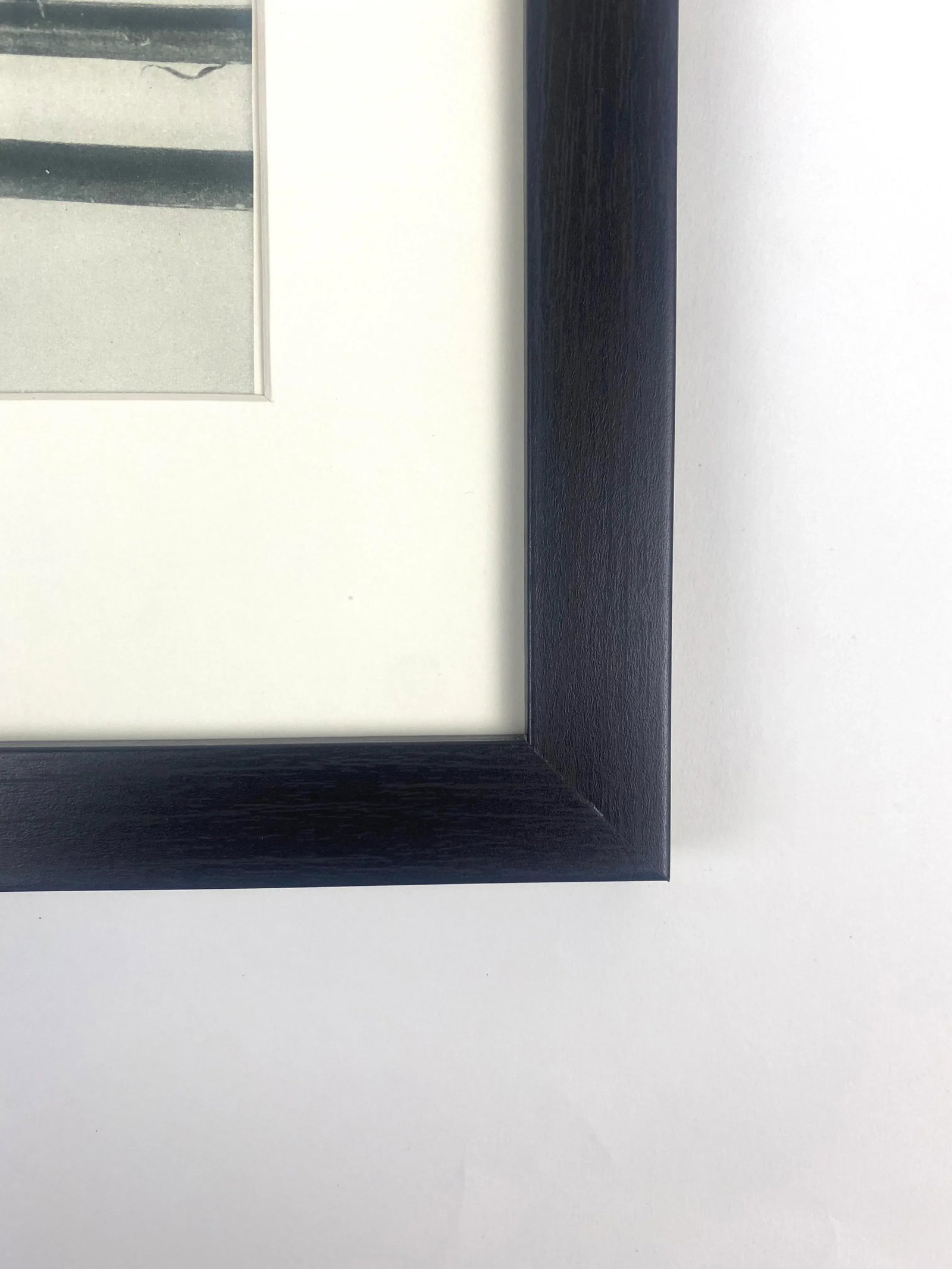 Framed Antique Botanical Blossfeldt Print - No. 54 - 4