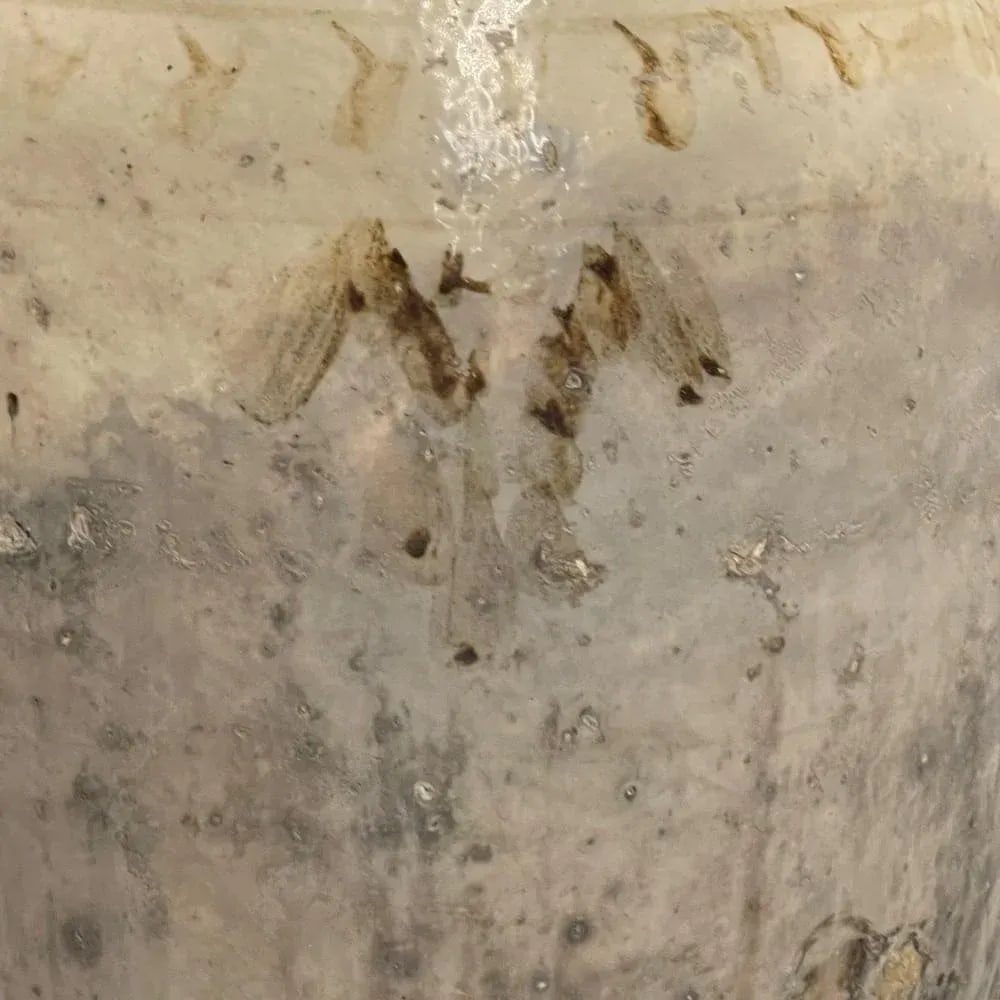 Antique Cizhou Wine Jar - 4