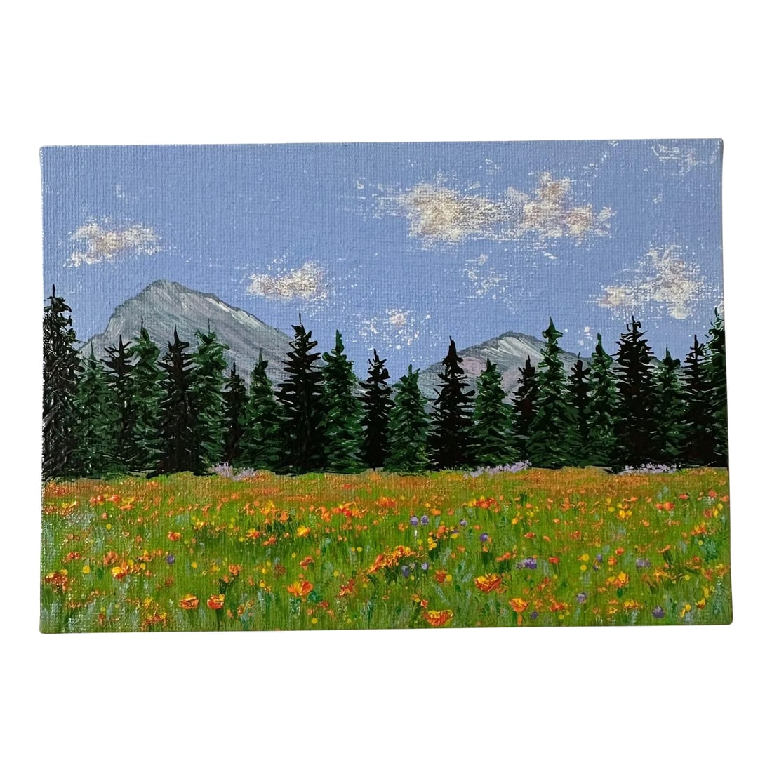 "A Summer Day" Contemporary Original Impressionist Style Landscape Painting by Deb Bossert: This cheery landscape painting is 5" x 7" and is titled "A Summer Day." It depicts a beautiful landscape scene with a few of clouds and a mountain view with pine trees in the background and wildflower