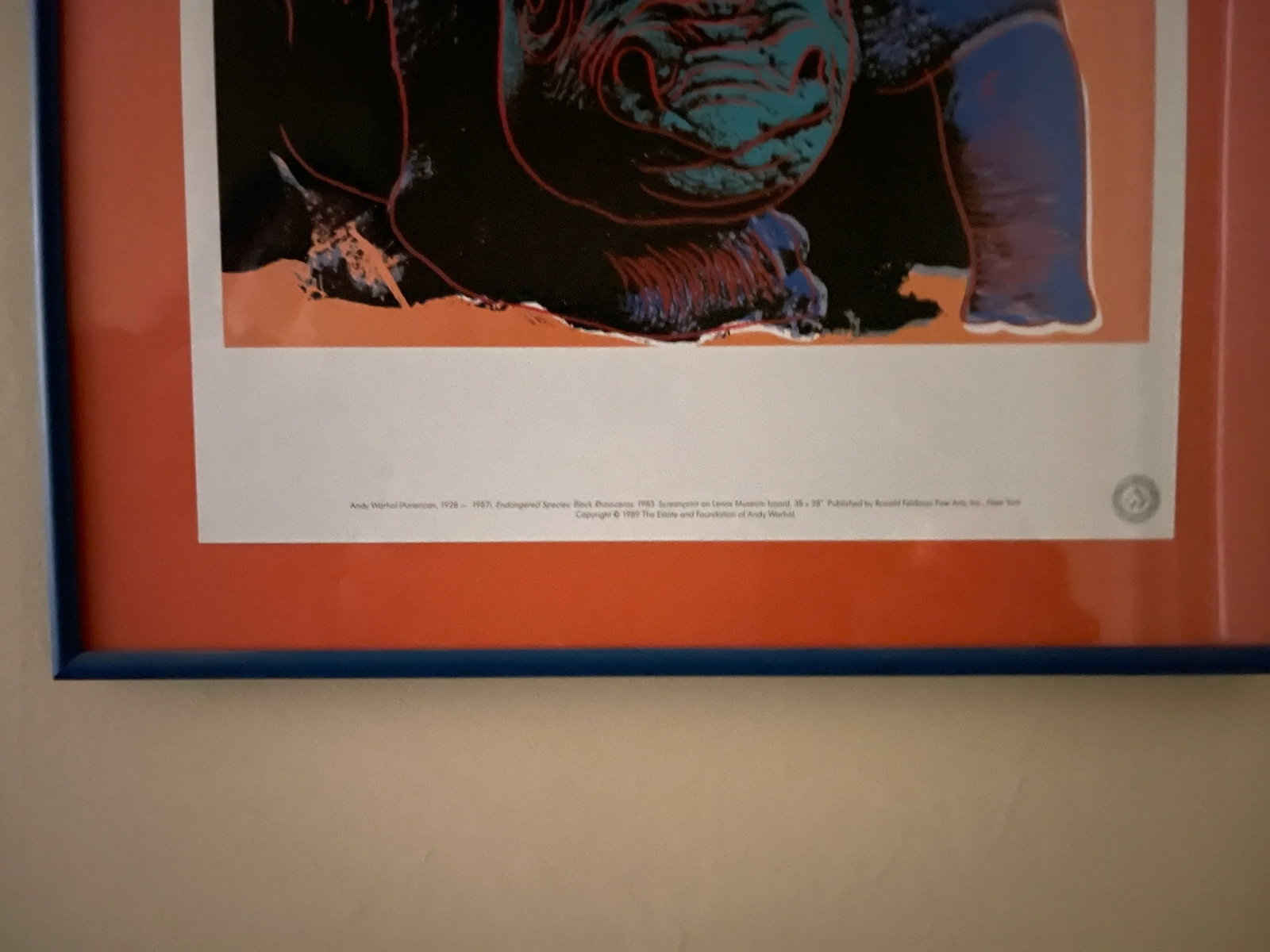 Andy Warhol Vintage 1989 Endangered Species Rhinoceros Framed Lithograph Print - 9
