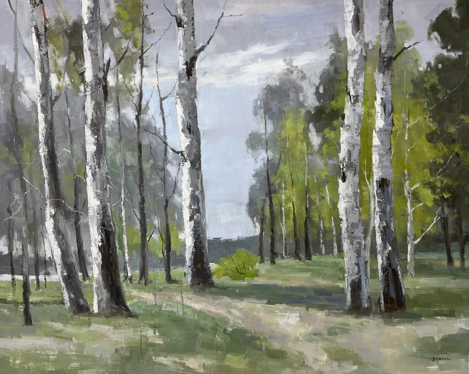 Birch Tree Impressionistic Landscape Original Oil Painting: A stunning impressionistic landscape oil painting on canvas, featuring a serene grove of birch trees with a soft blend of greens, grays, and earthy tones. Expressive brushstrokes and layered textures