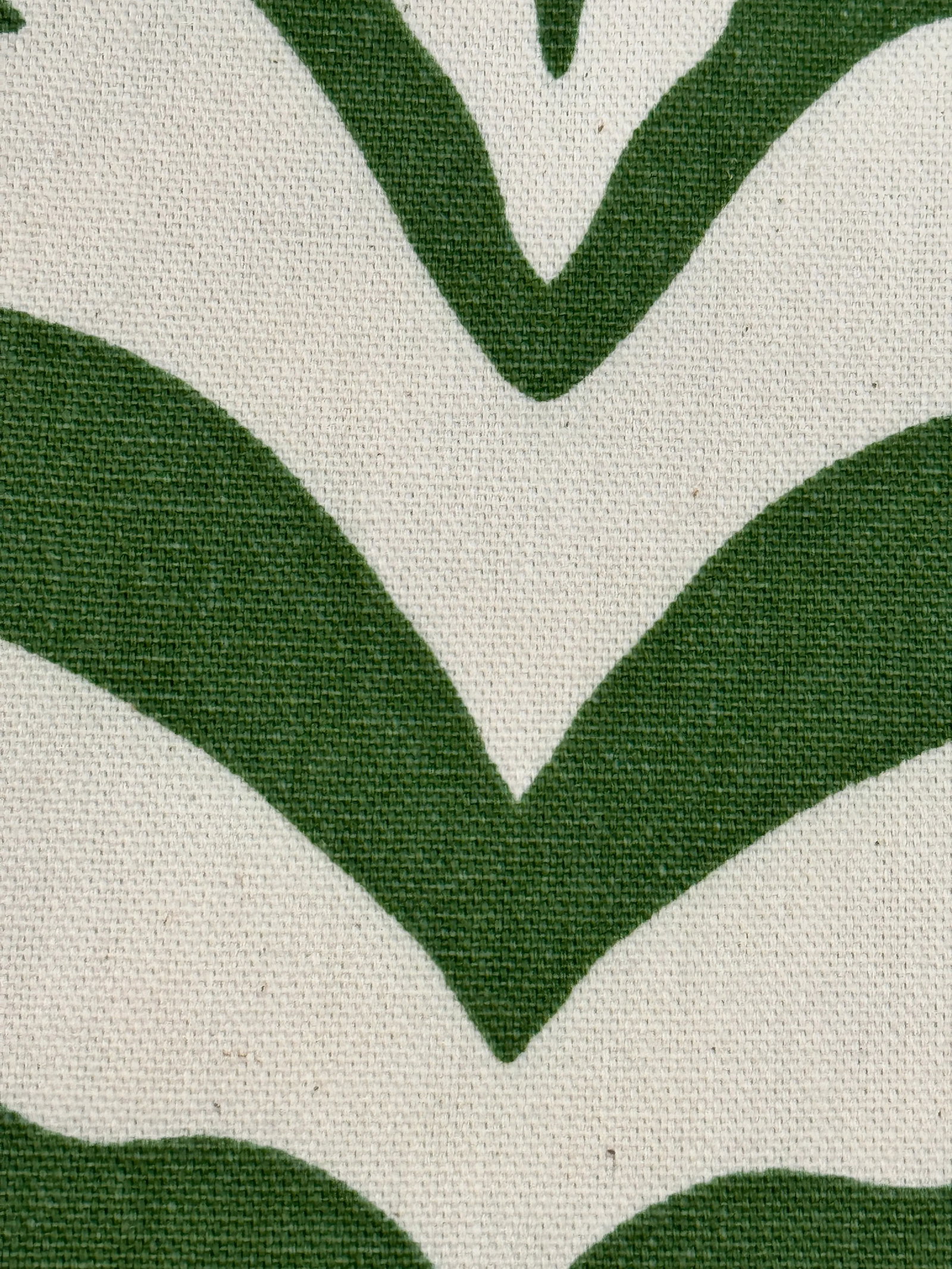 Rose Cumming Zebrine Fabric- Green, 8 Yards - 6
