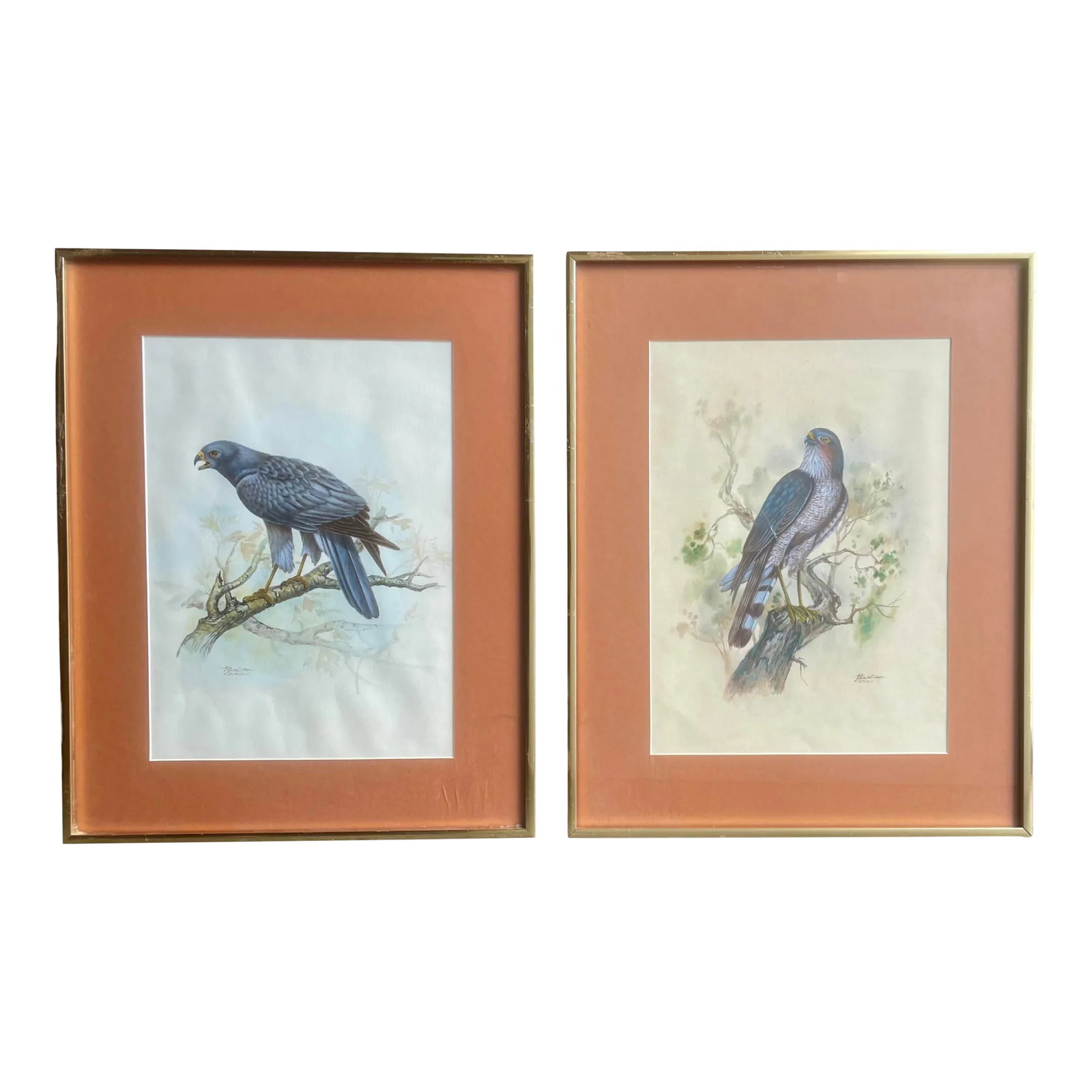 Vintage Watercolor Avian Animal Paintings, Signed & Framed Pair: A matching set of original avian animal watercolor paintings, each depicting a bird of prey perched on a branch. The artworks are signed by the artist, matted and set behind protective glass in a