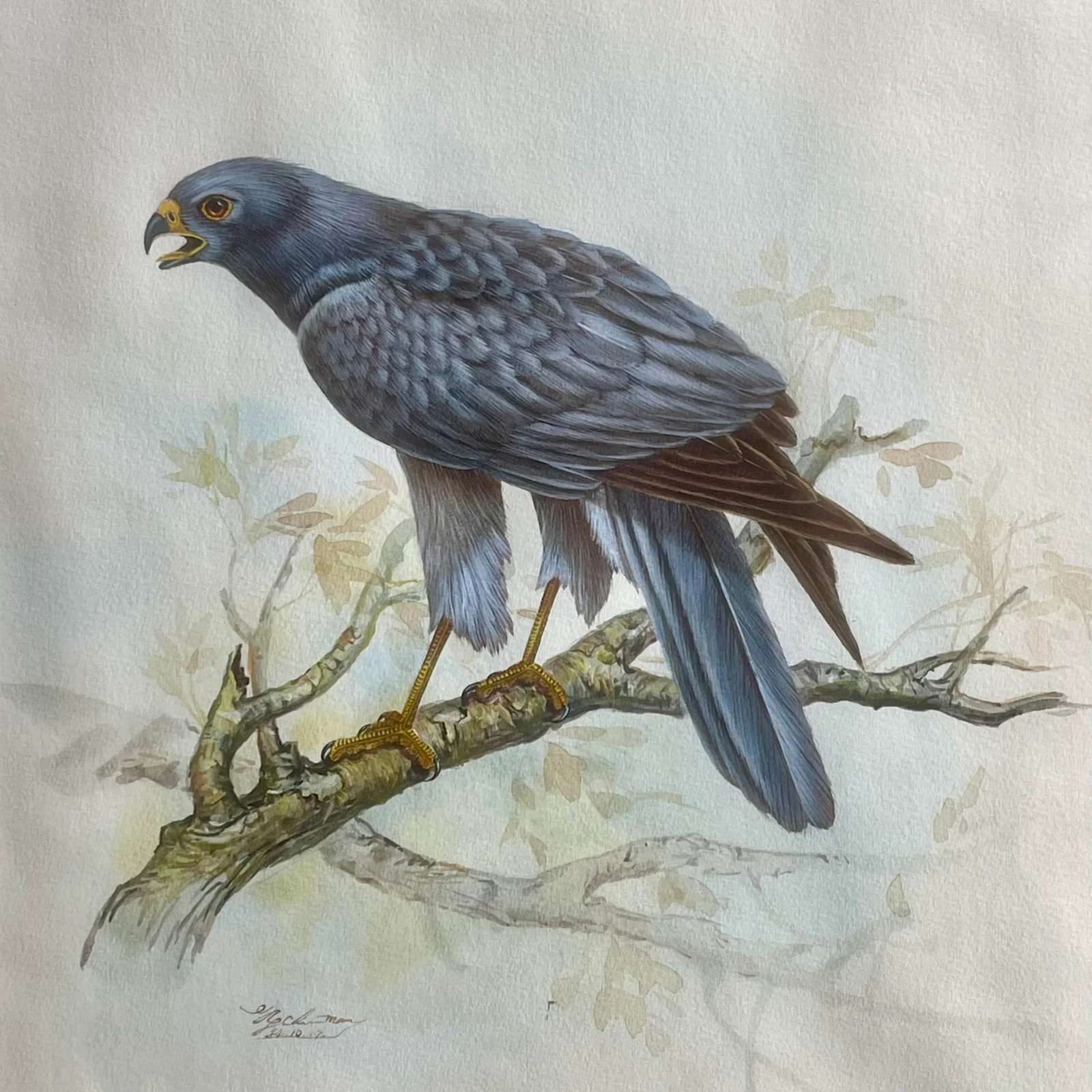 Vintage Watercolor Avian Animal Paintings, Signed & Framed Pair - 2